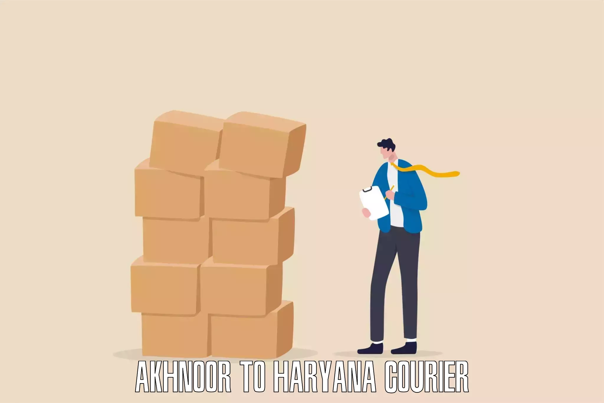 Dynamic parcel delivery Akhnoor to Haryana