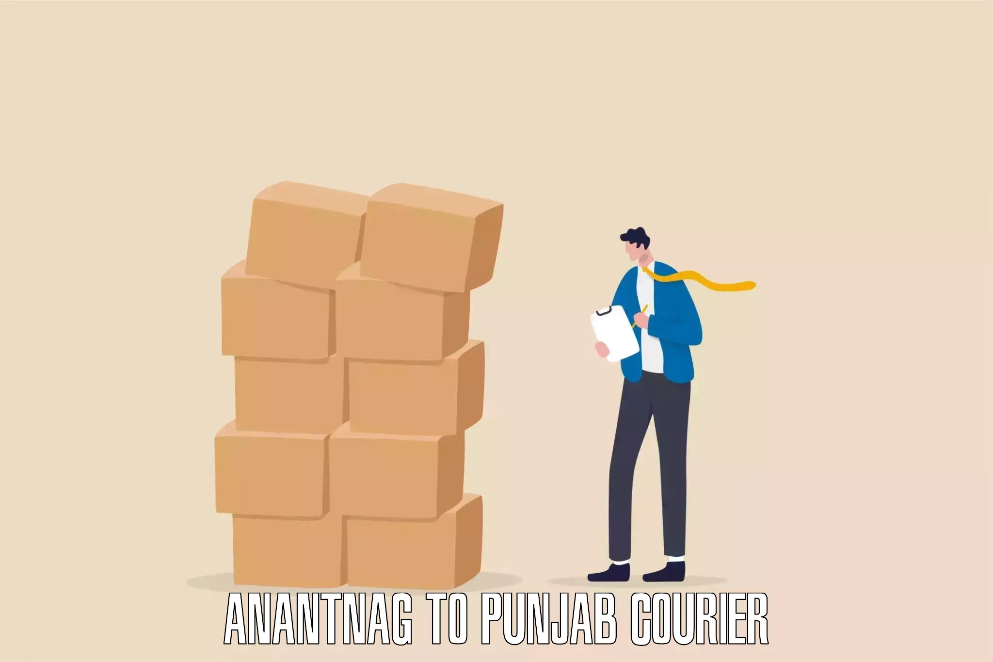 Wholesale parcel delivery Anantnag to Mansa