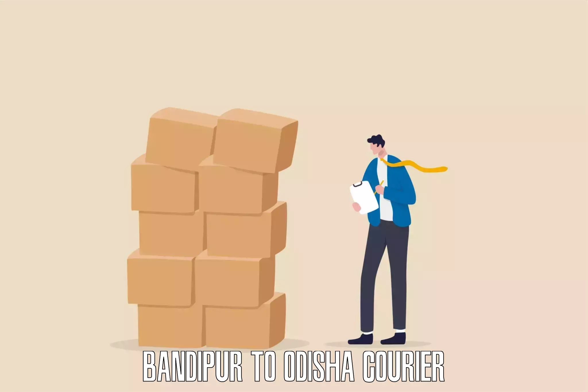 Smart parcel solutions Bandipur to Odisha