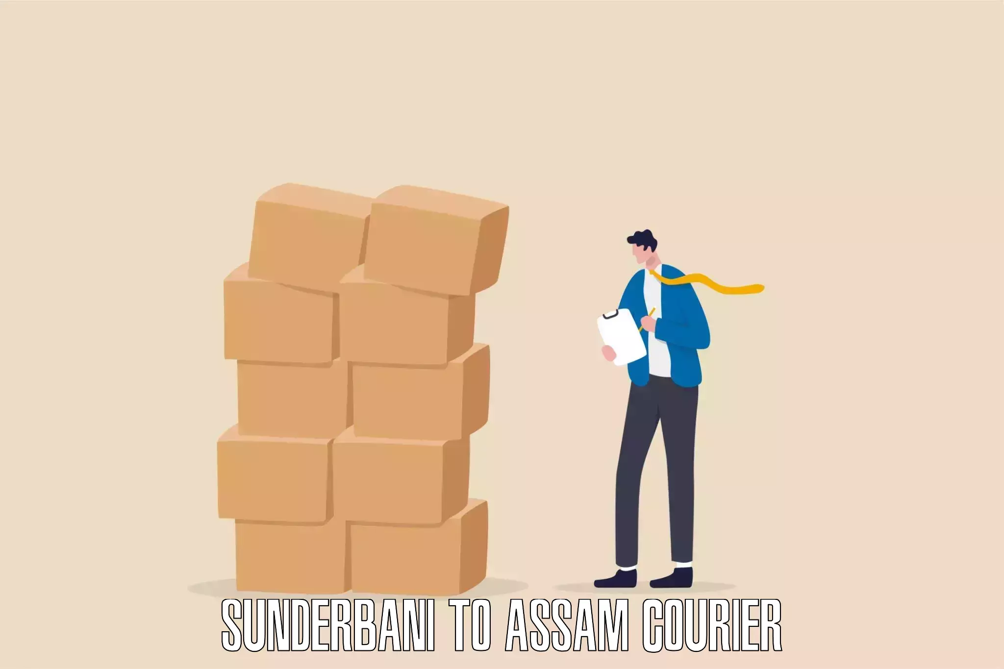 Smart parcel tracking Sunderbani to Assam