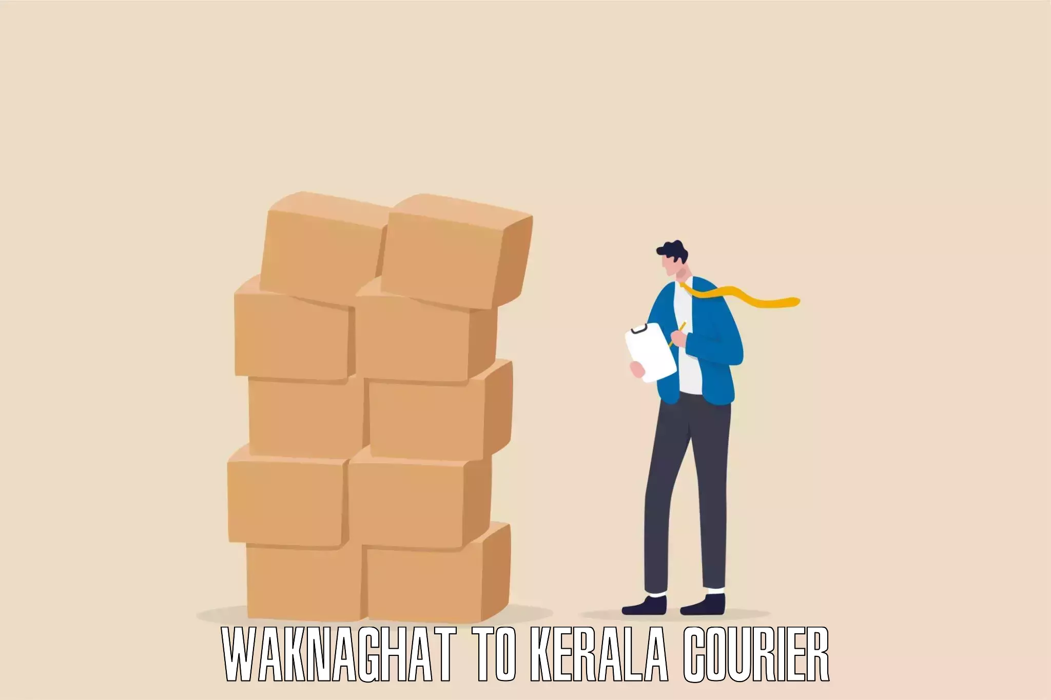 Pharmaceutical courier Waknaghat to Kerala