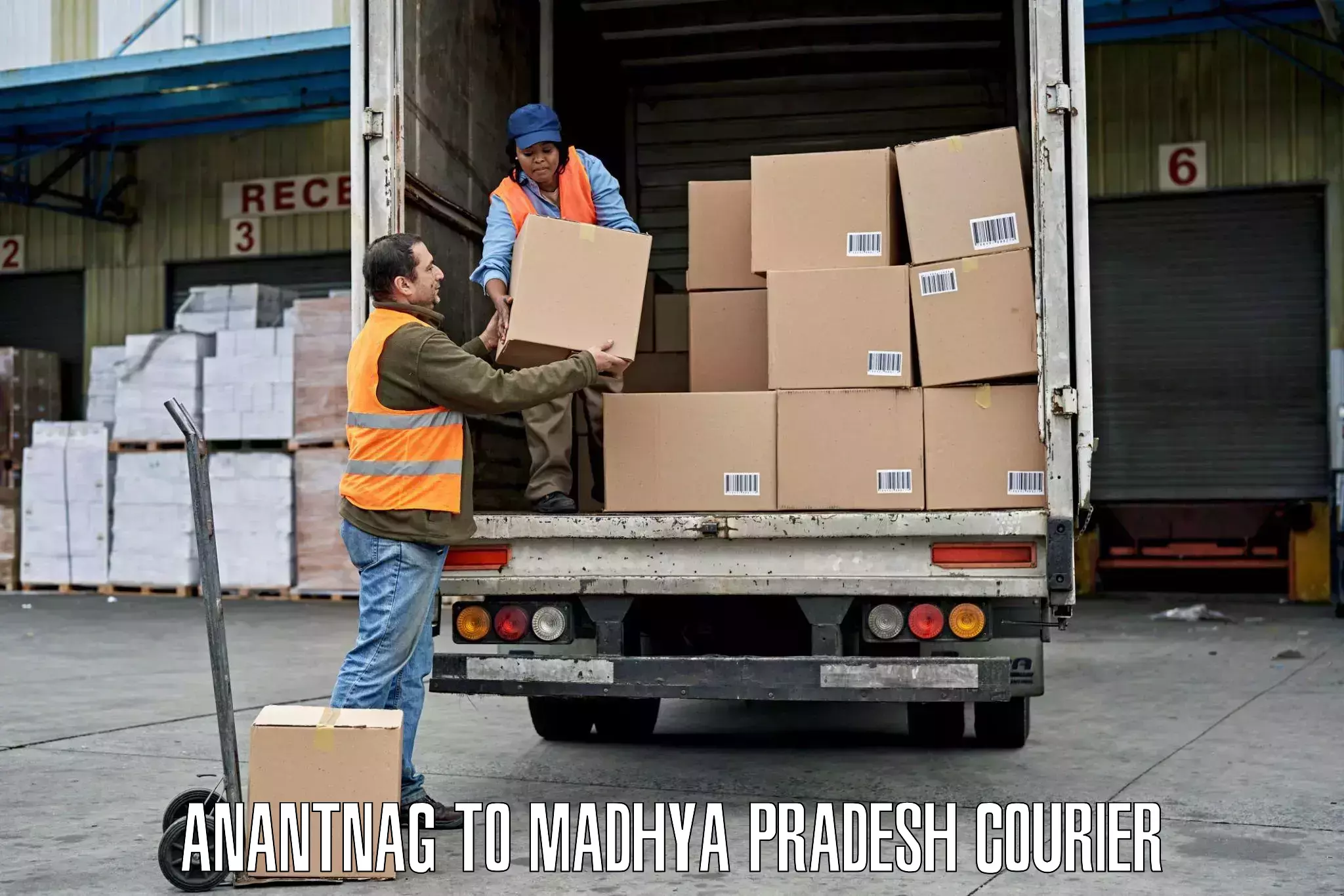 Wholesale parcel delivery Anantnag to Ganj Basoda