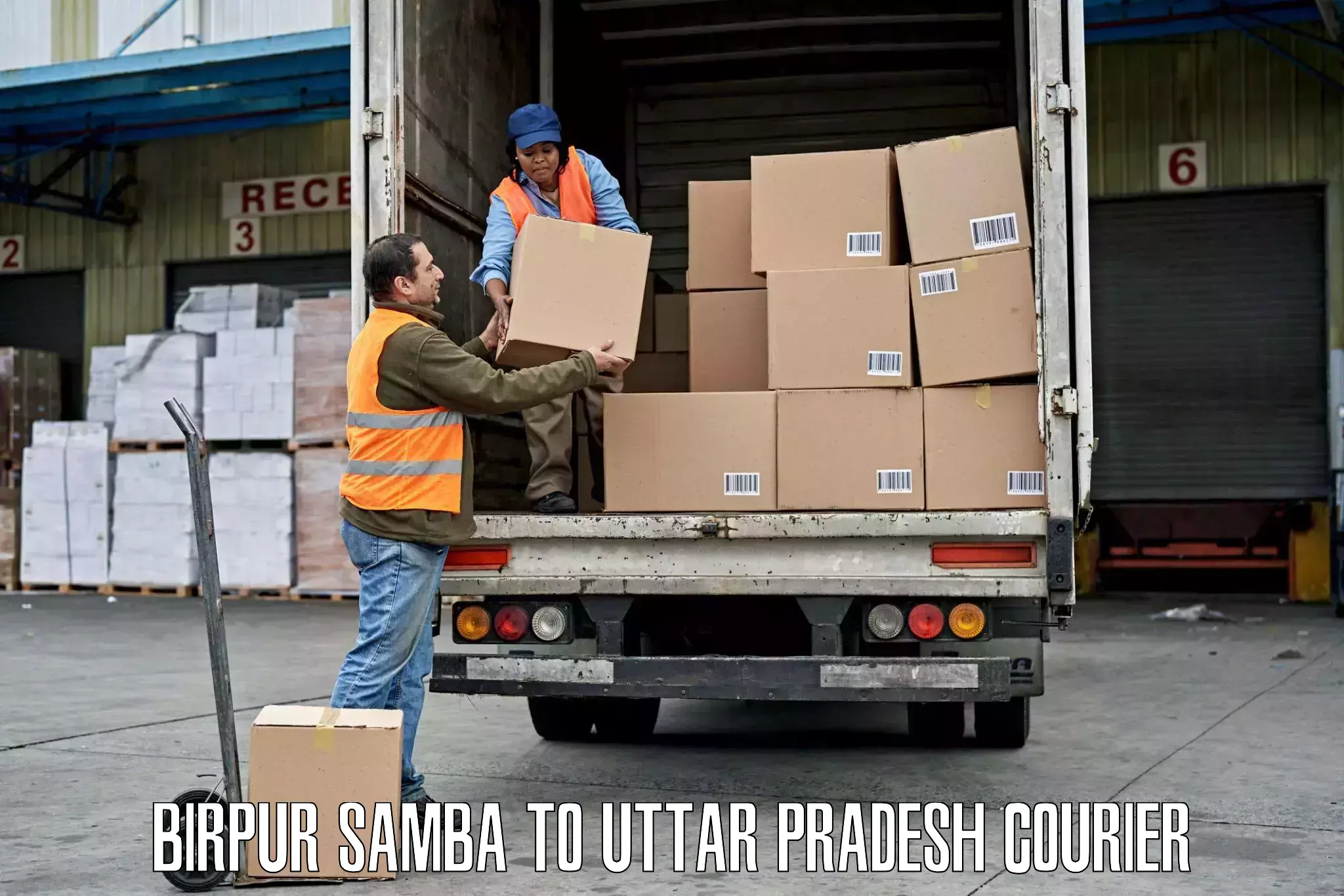 Global delivery options Birpur Samba to Allahabad