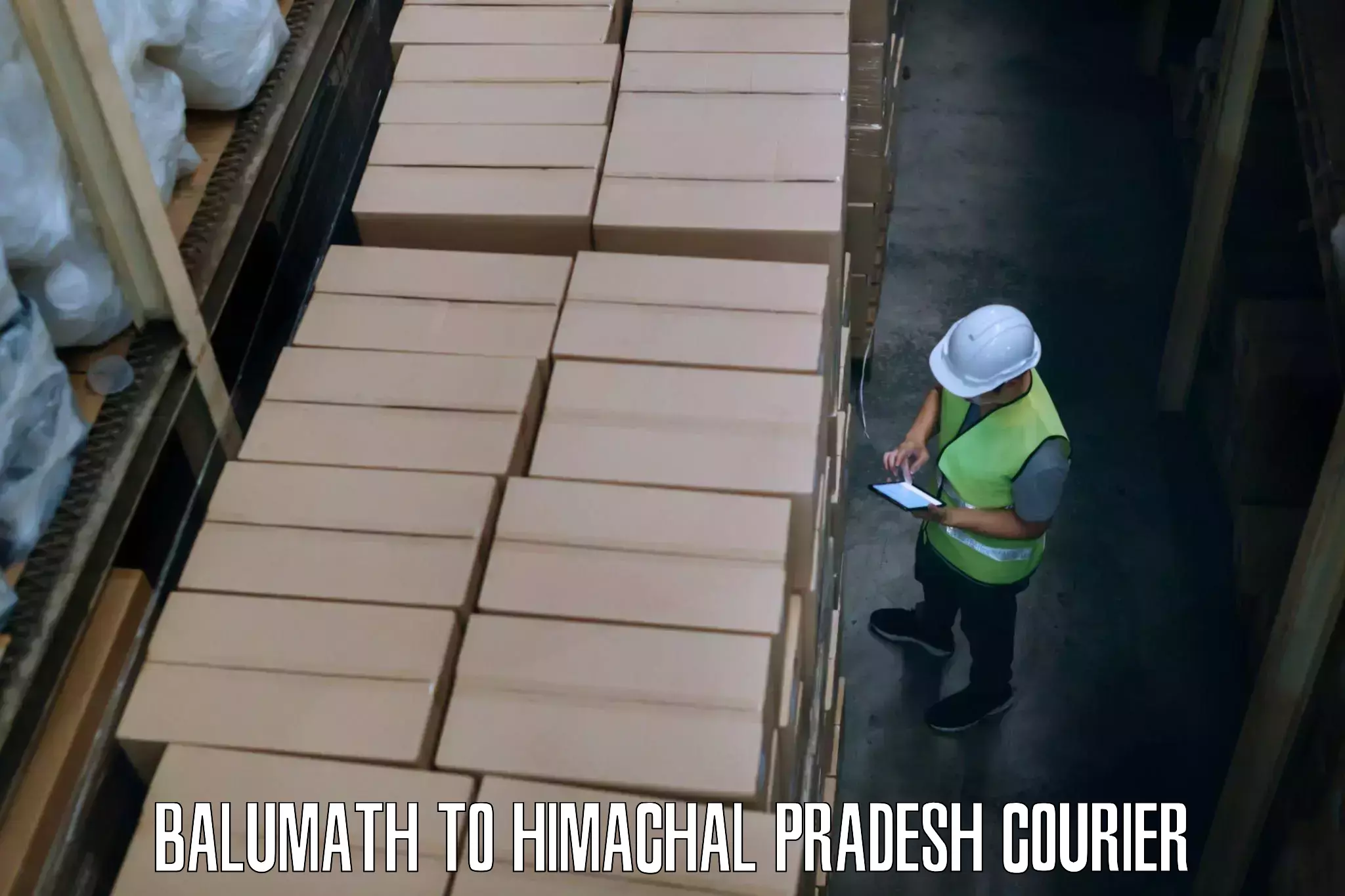 Sustainable shipping practices in Balumath to Himachal Pradesh