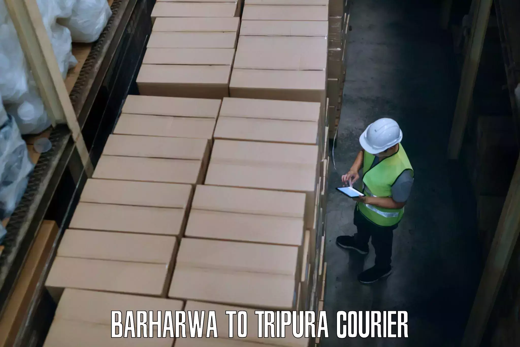 Global courier networks Barharwa to Tripura