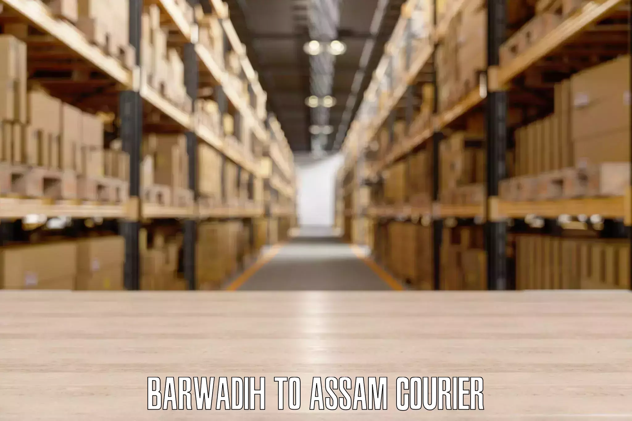 Urban courier service Barwadih to Assam