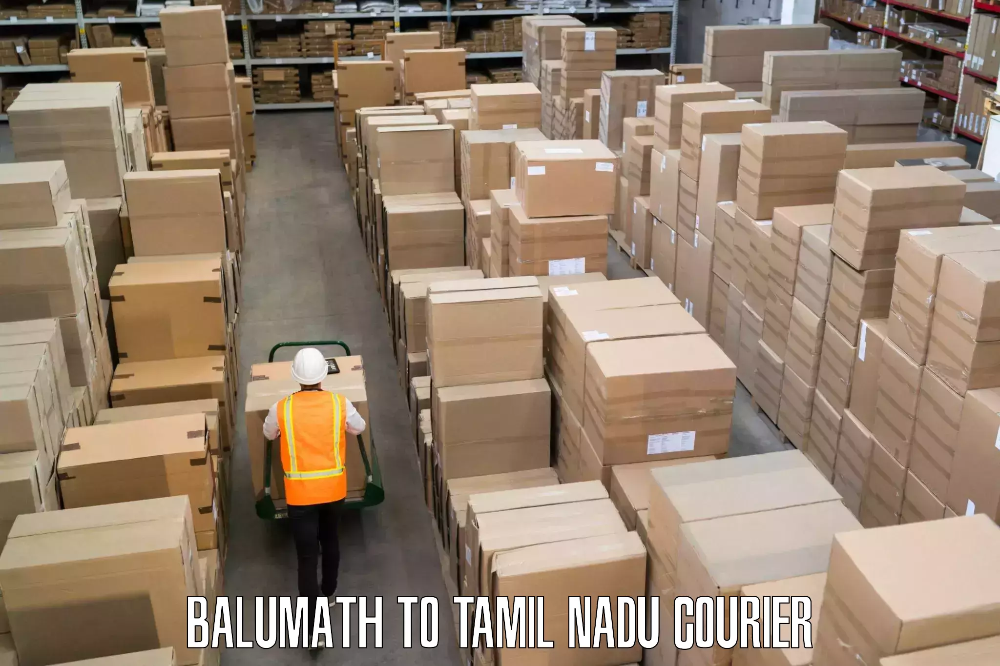 Advanced parcel tracking Balumath to Palayankottai