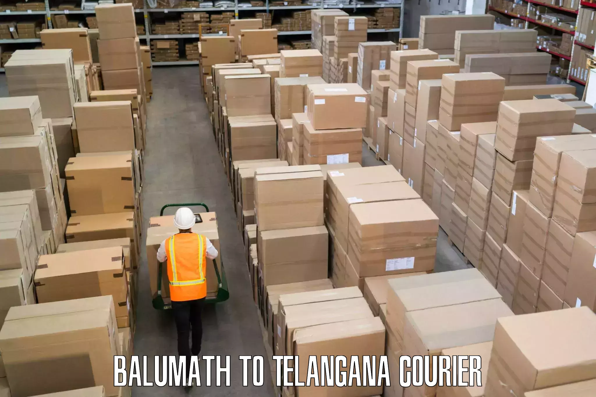 Next day courier Balumath to Telangana