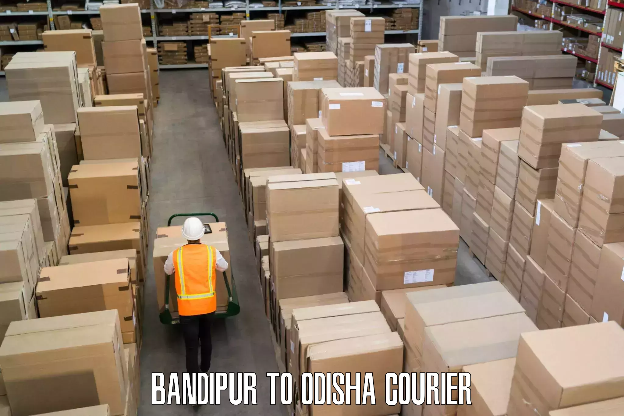 Doorstep parcel pickup Bandipur to Odisha