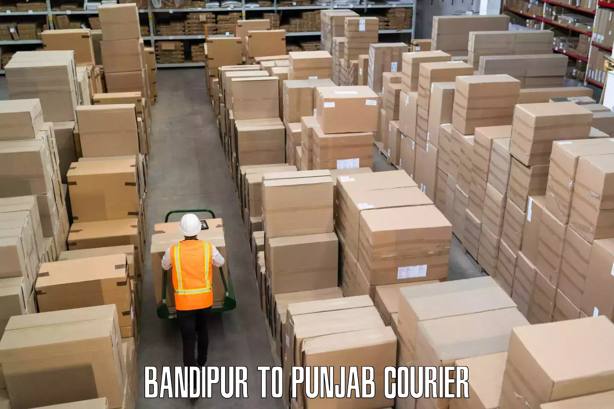 Customer-friendly courier services in Bandipur to Punjab