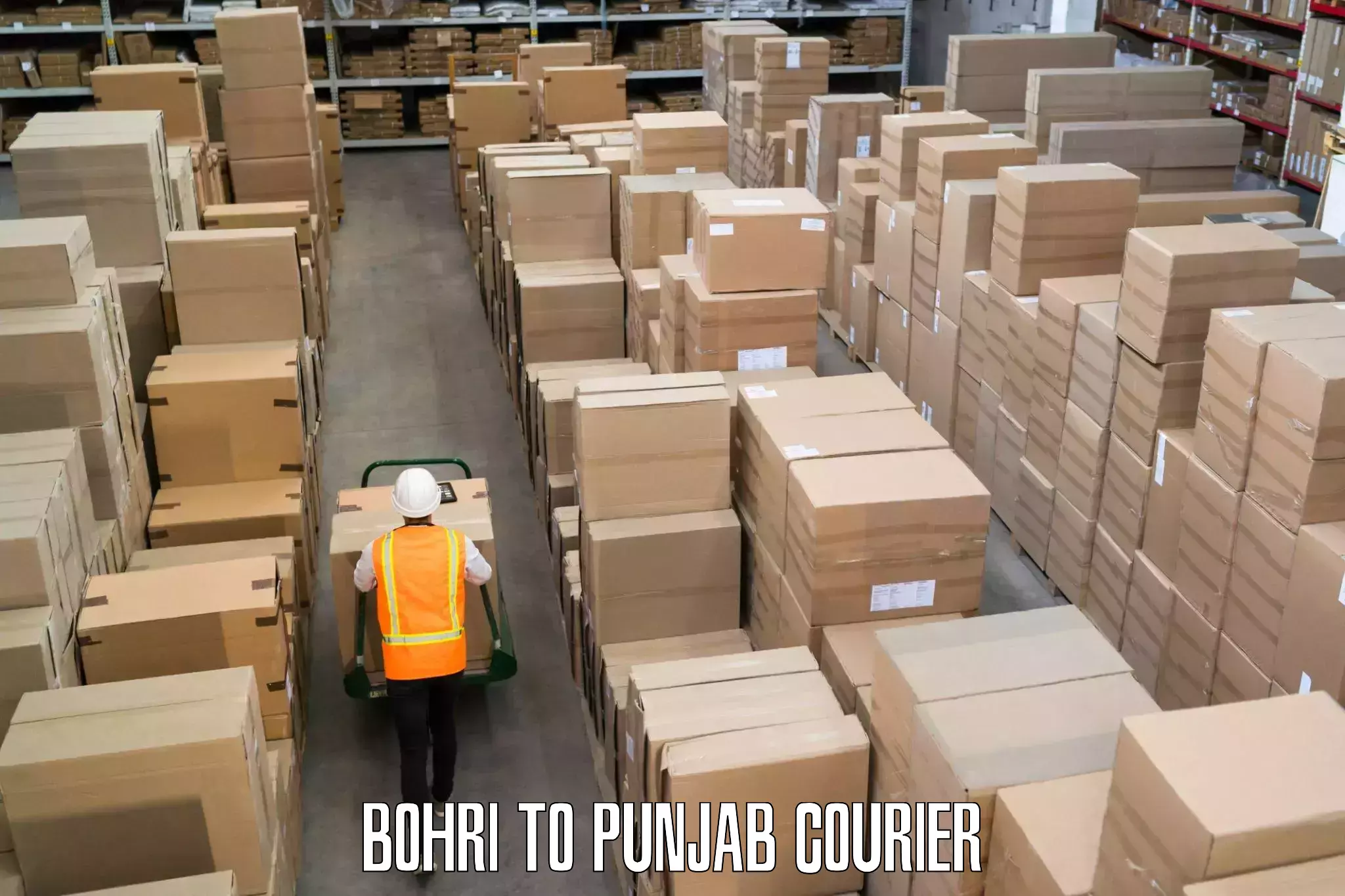 Efficient courier operations Bohri to Raikot