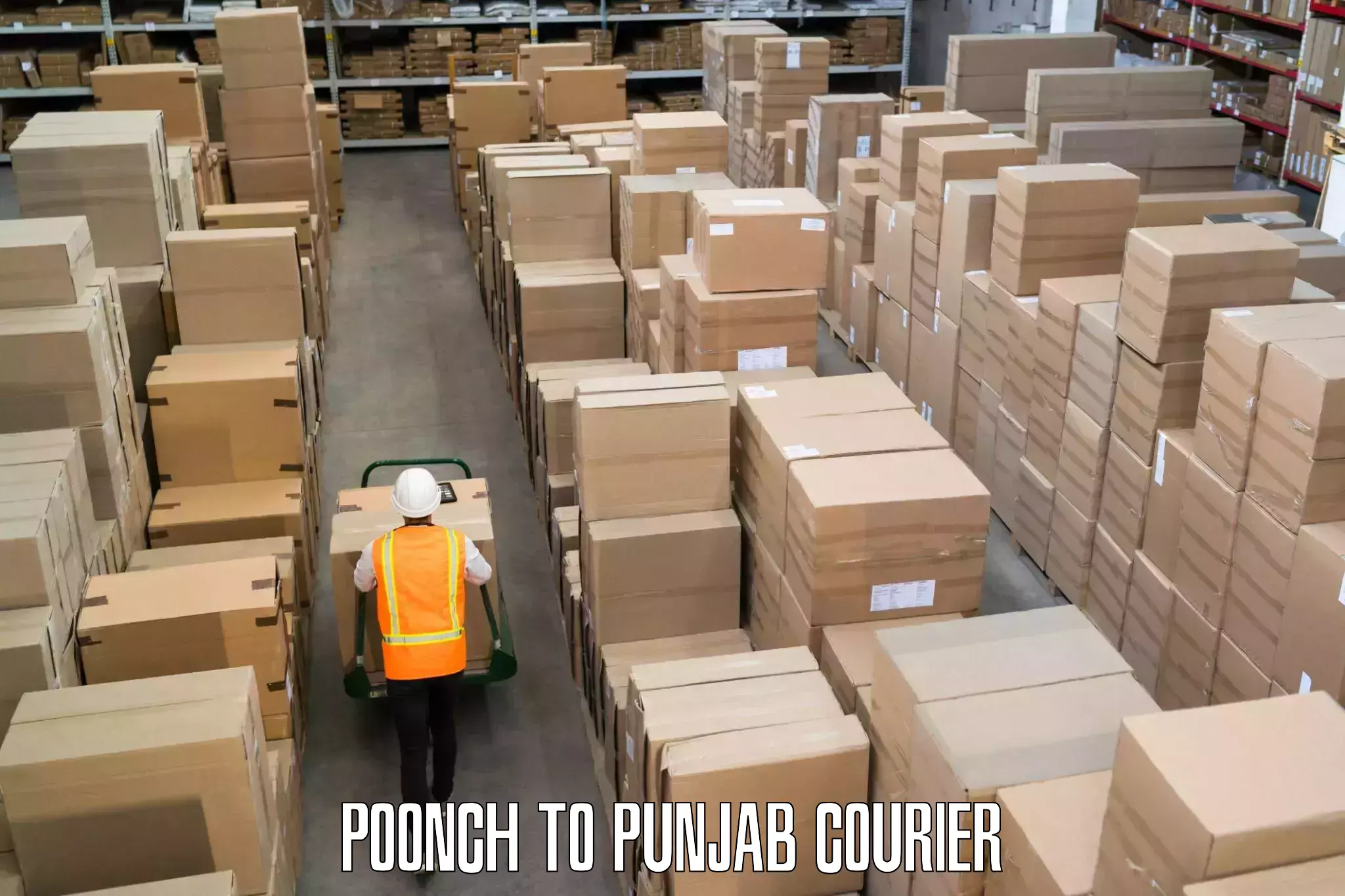 Residential courier service Poonch to Punjab