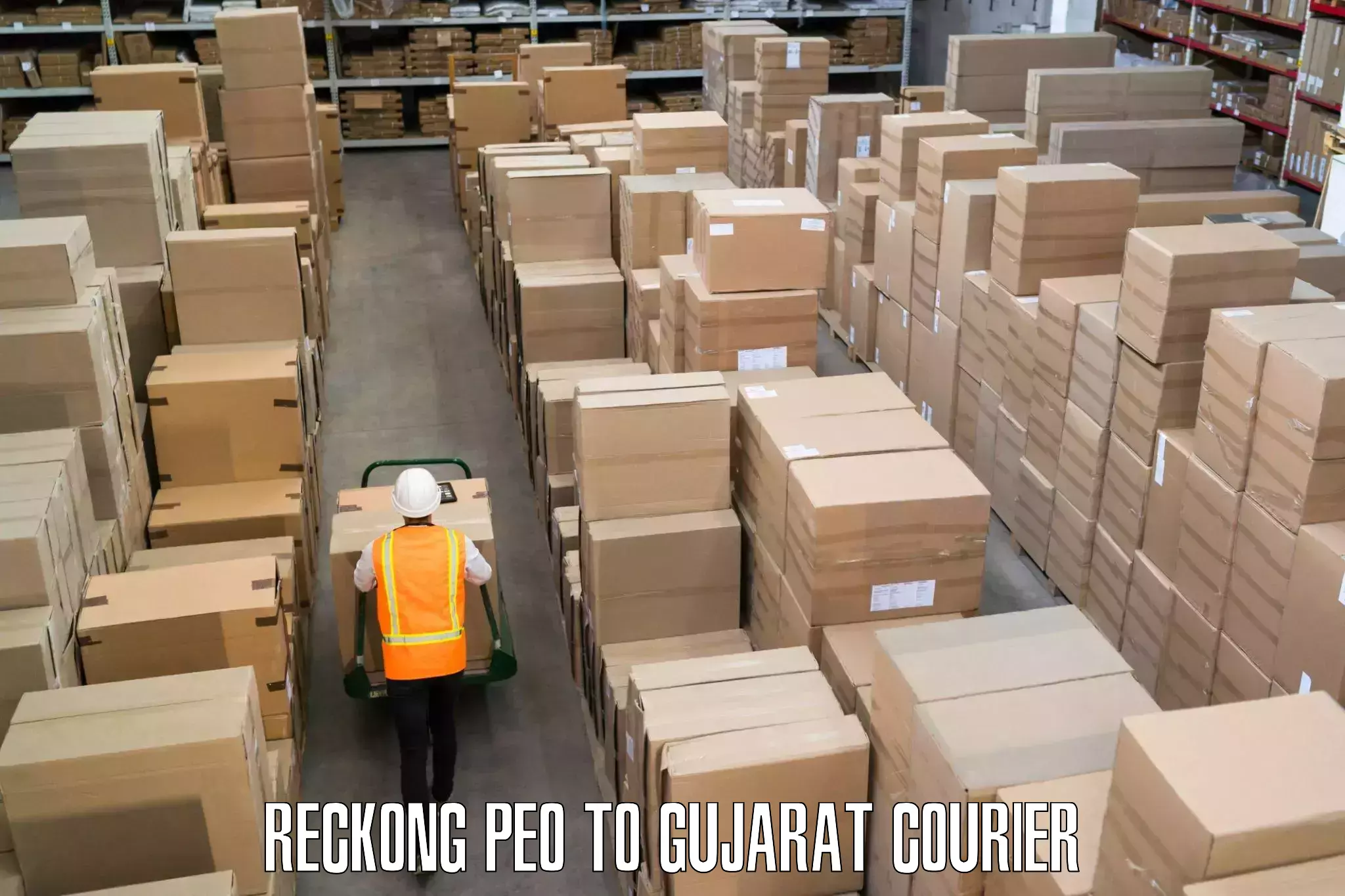 Express package delivery Reckong Peo to Gujarat