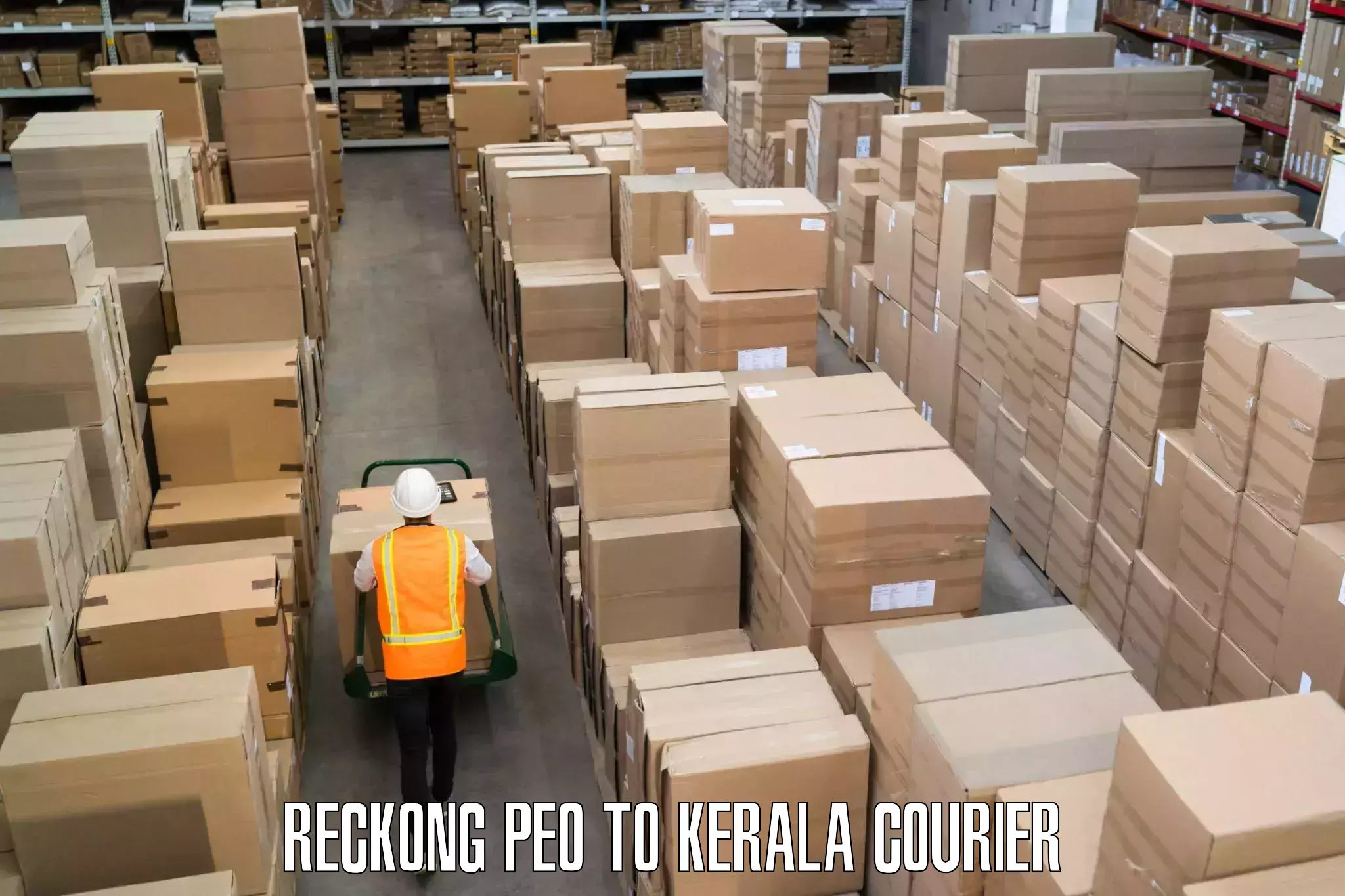 Rapid shipping services Reckong Peo to Kerala