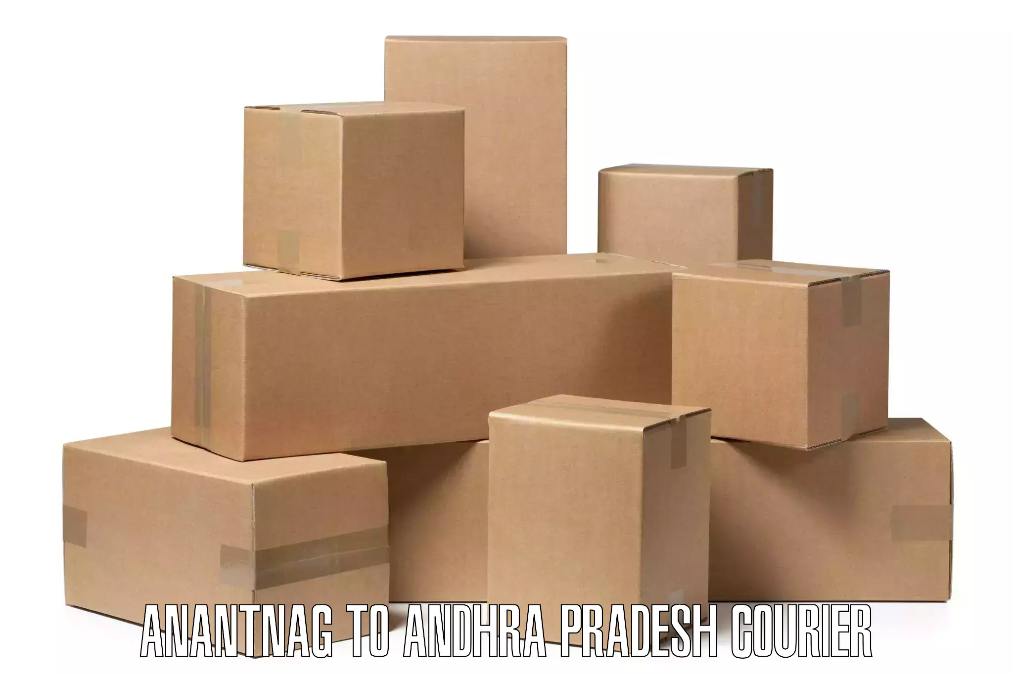 Specialized courier services Anantnag to Kathipudi