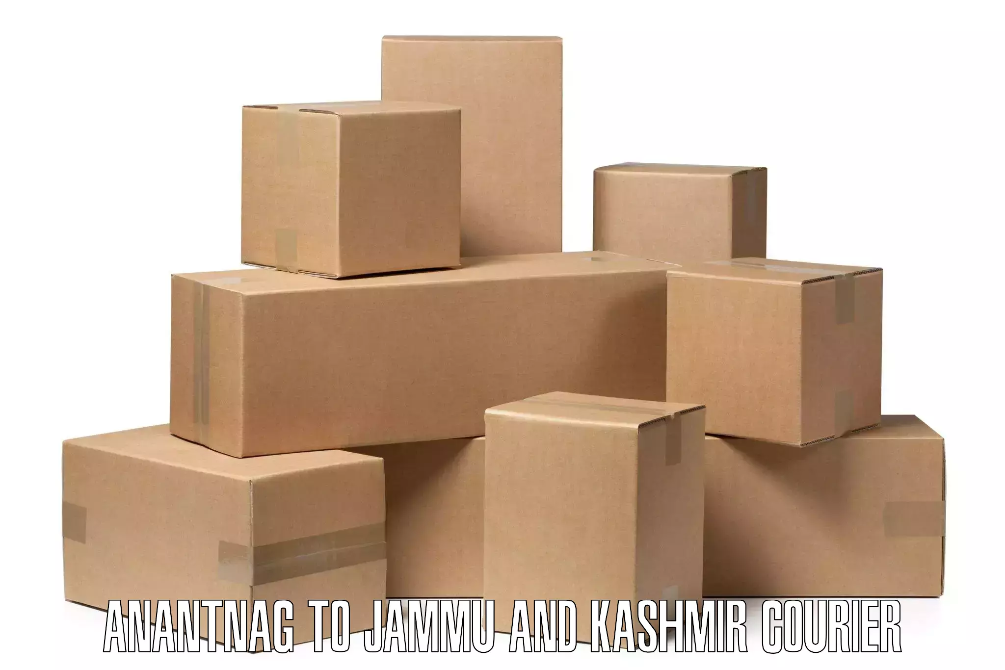 Premium delivery services Anantnag to Chenani