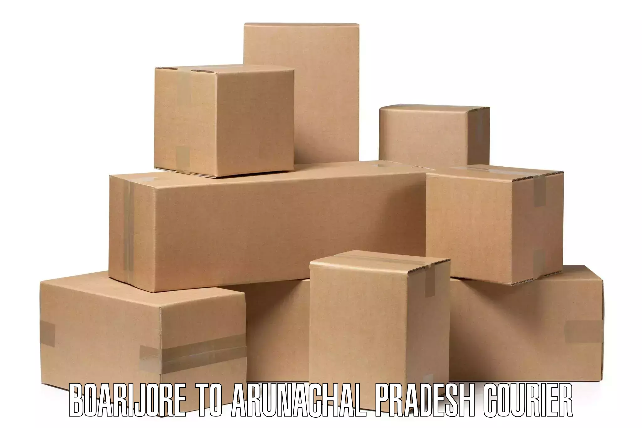 Comprehensive parcel tracking in Boarijore to Sagalee