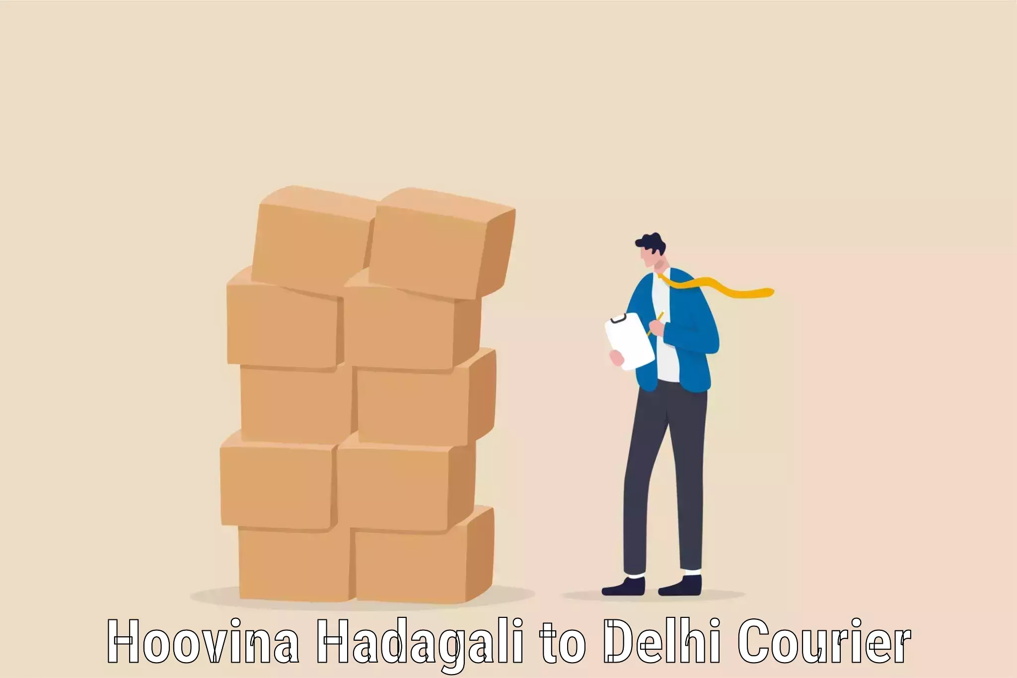 Home relocation services Hoovina Hadagali to Jawaharlal Nehru University New Delhi