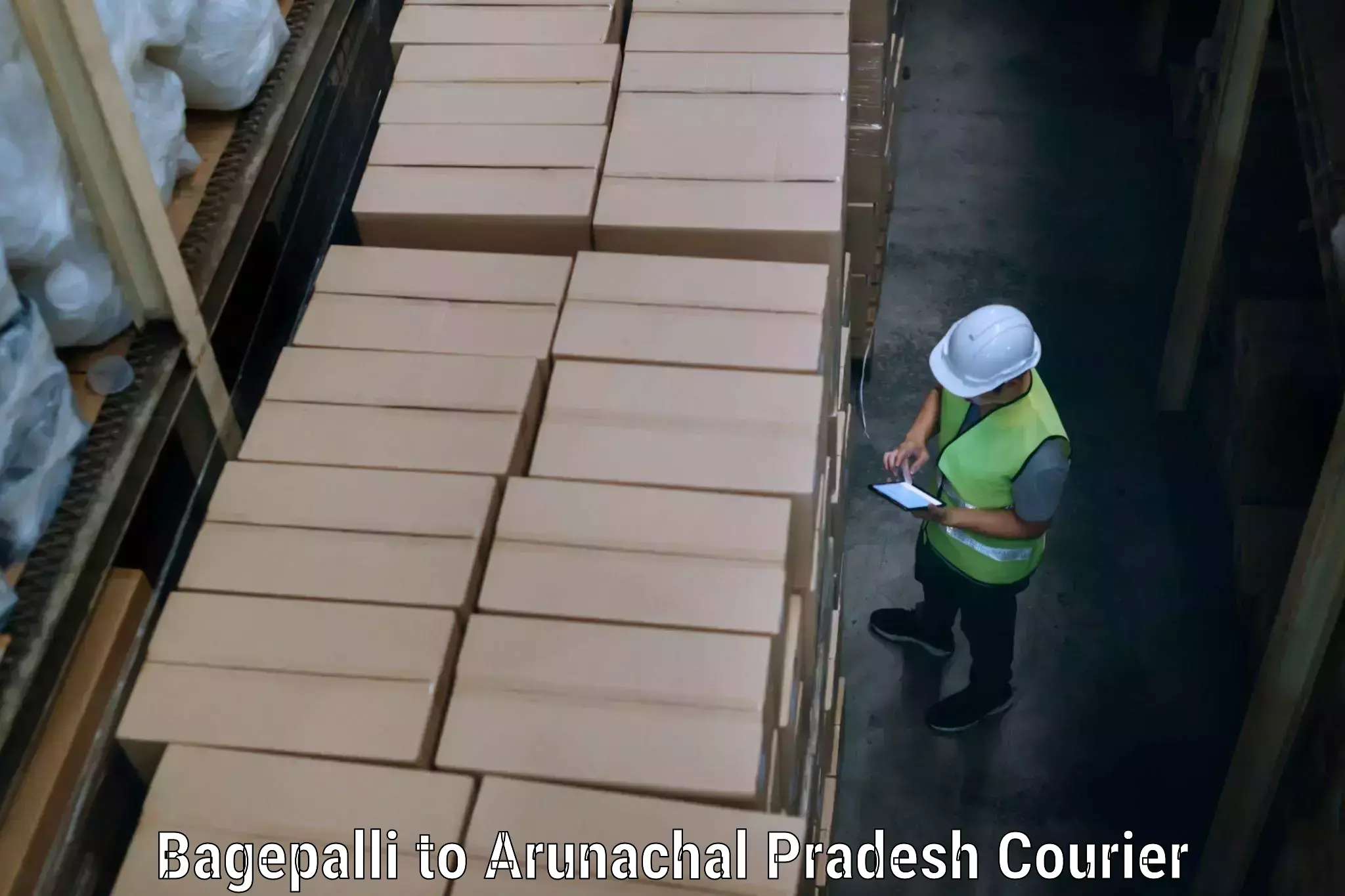 Custom household moving Bagepalli to Arunachal Pradesh