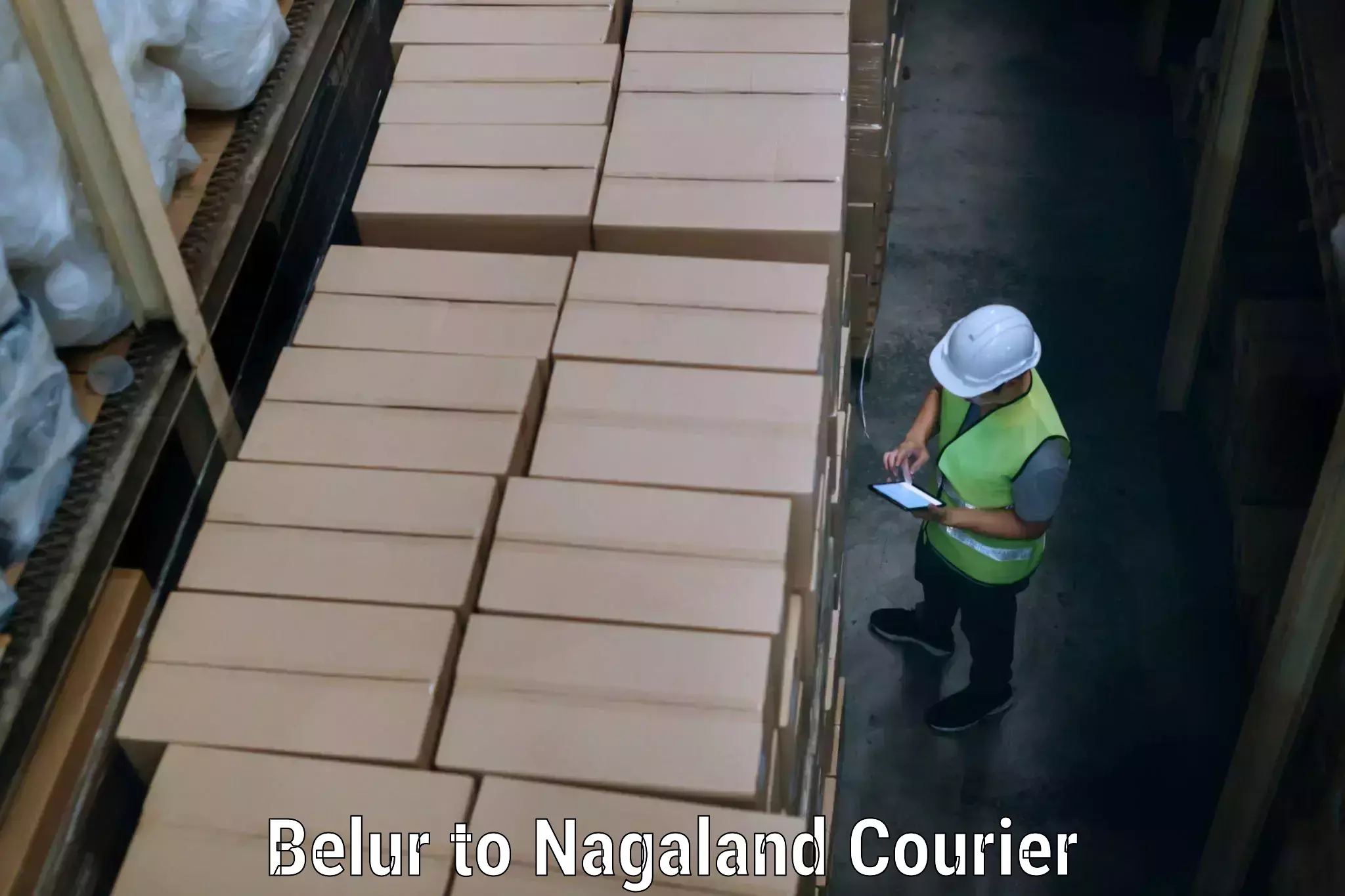 Cost-effective furniture movers Belur to Nagaland