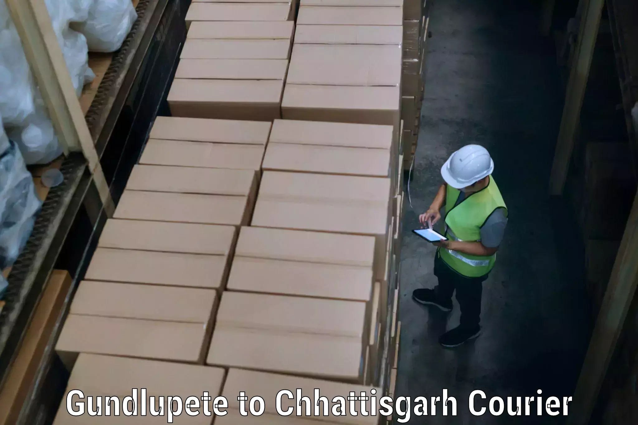 Reliable moving assistance Gundlupete to Chhattisgarh