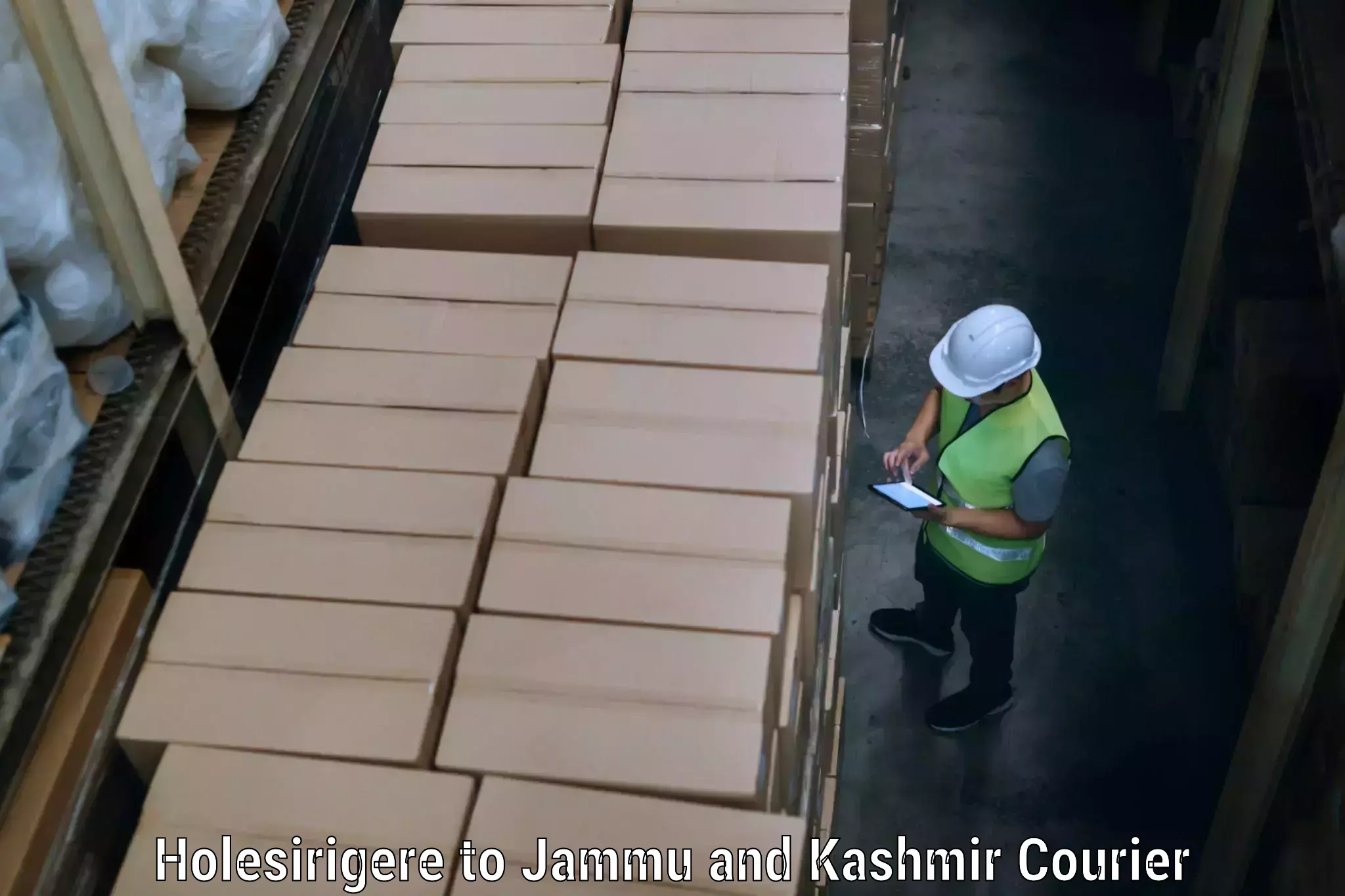 Custom household moving Holesirigere to Jammu and Kashmir