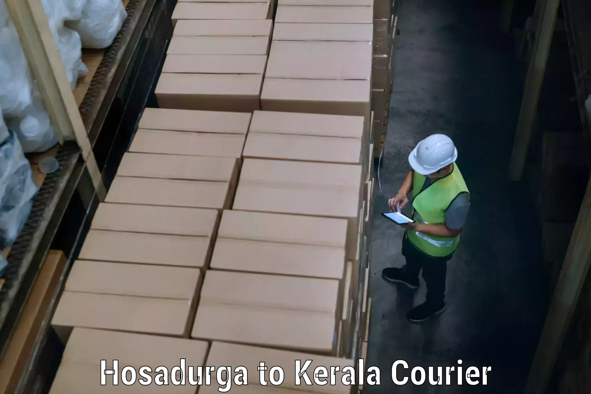 Home goods moving Hosadurga to Kothanalloor