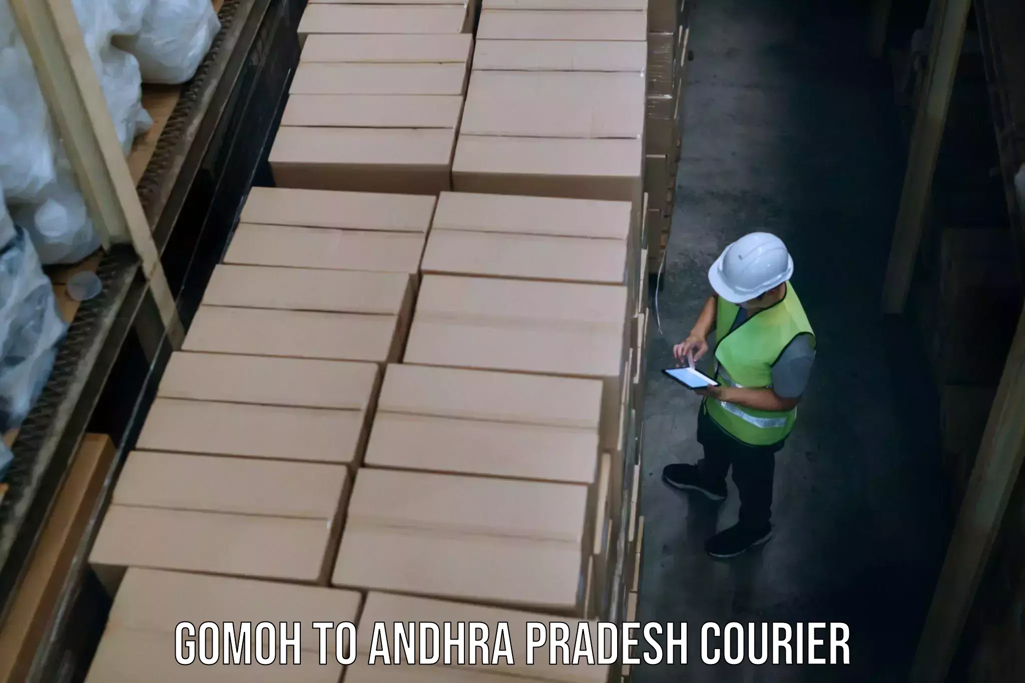 Streamlined baggage courier Gomoh to Sunkara Palem