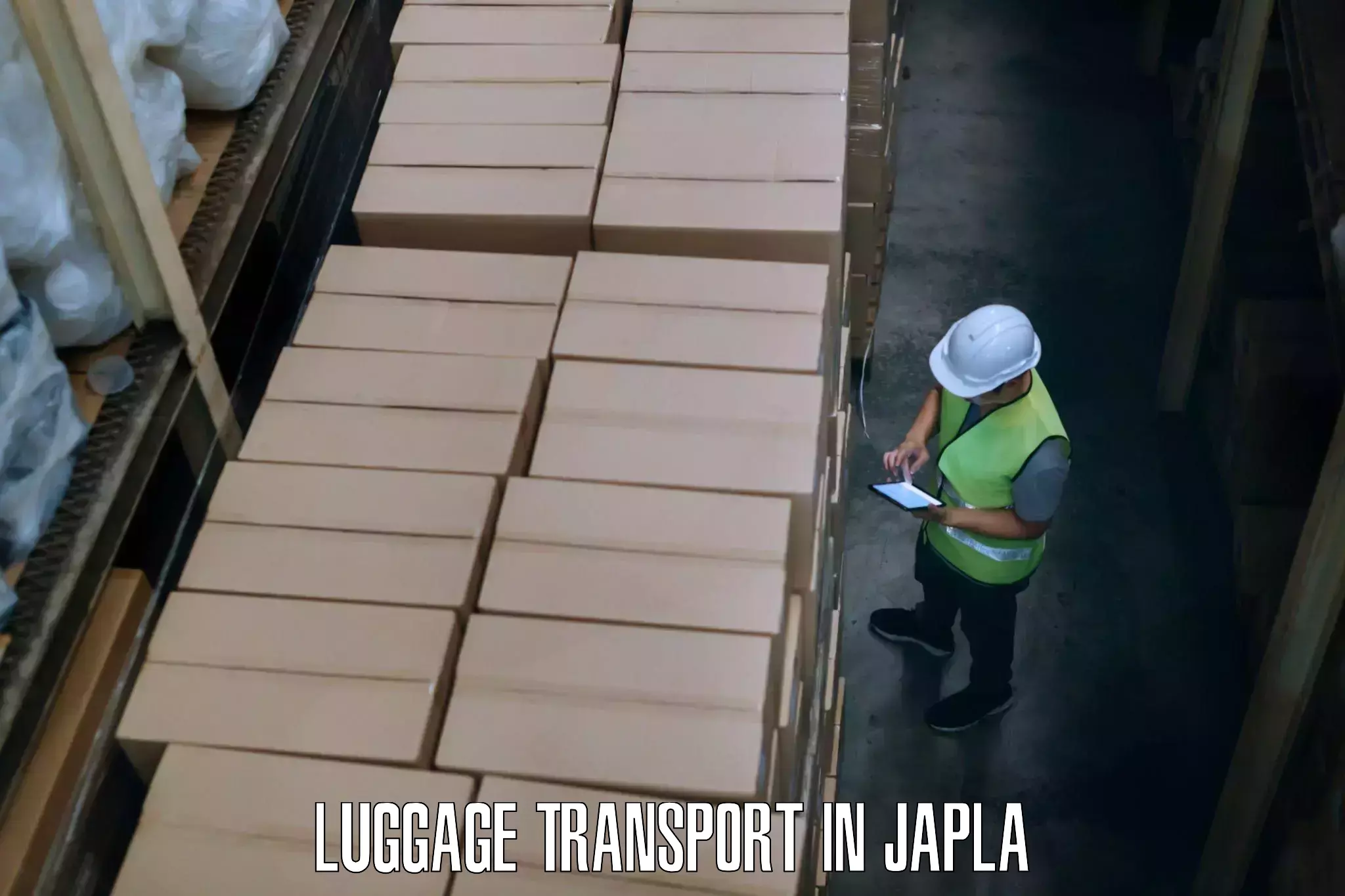 Fast track baggage delivery in Japla