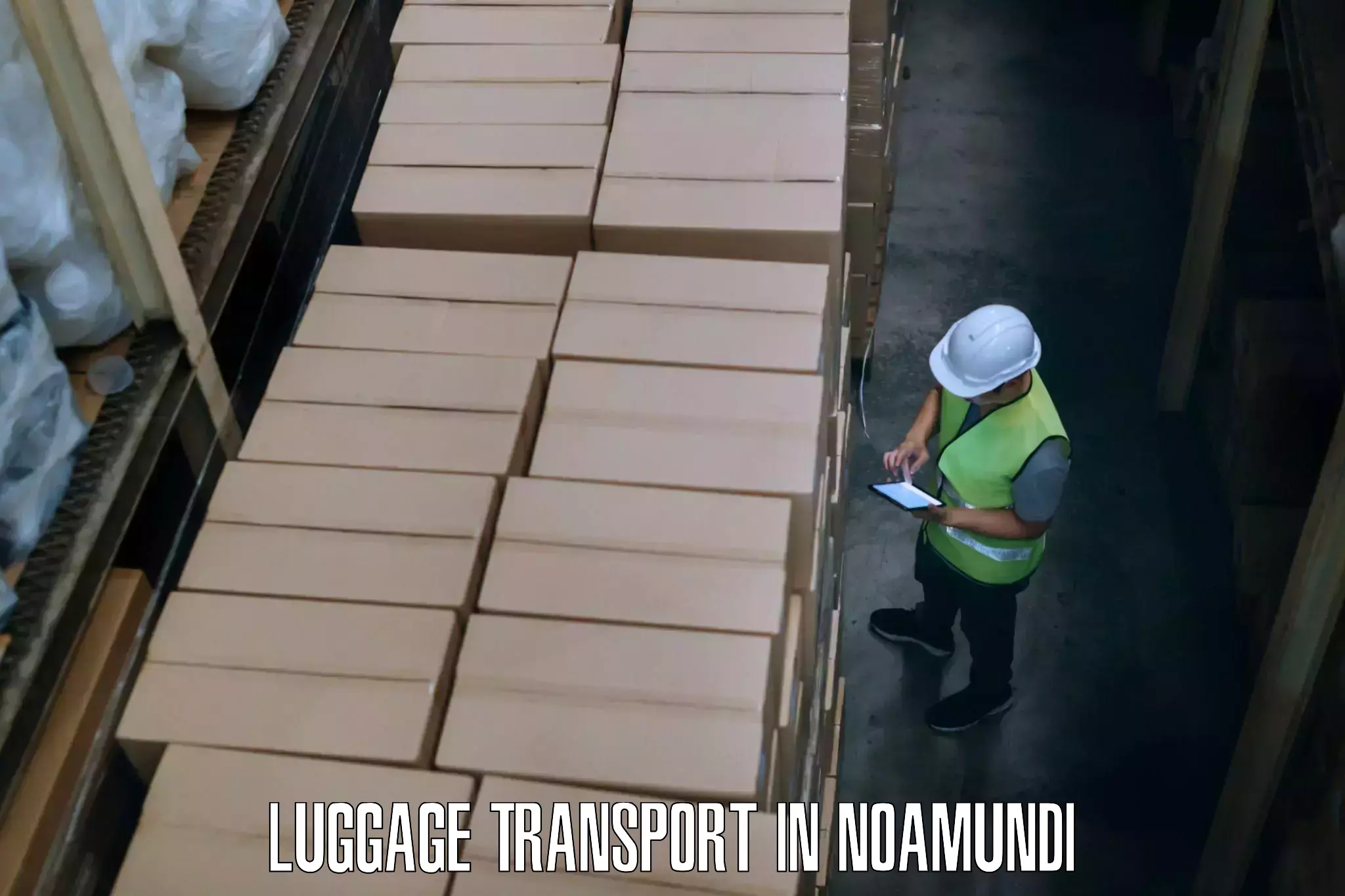 Artwork baggage courier in Noamundi