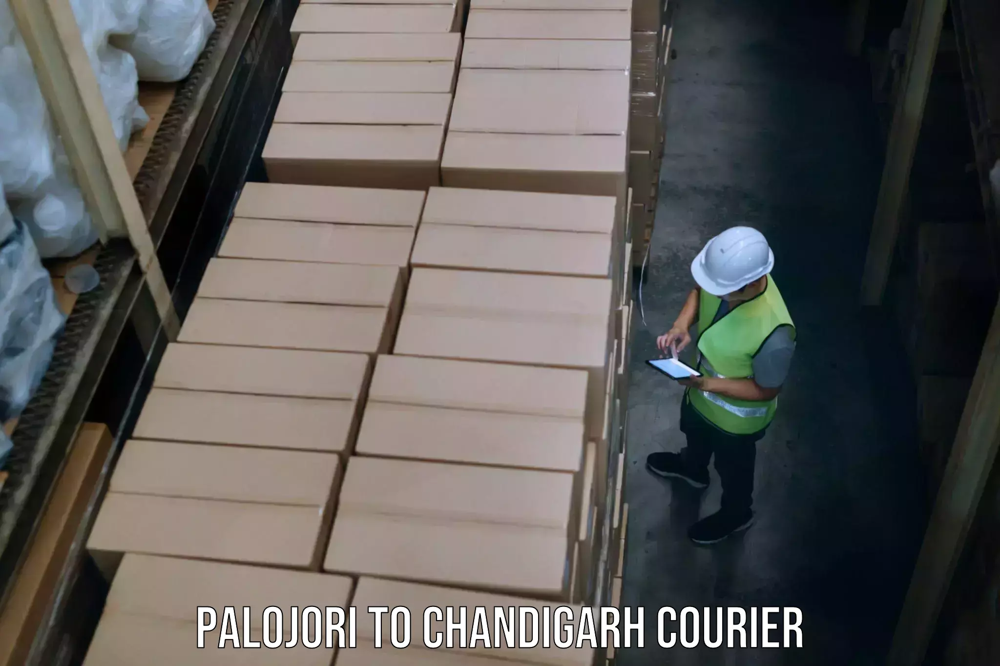 Luggage storage and delivery Palojori to Chandigarh