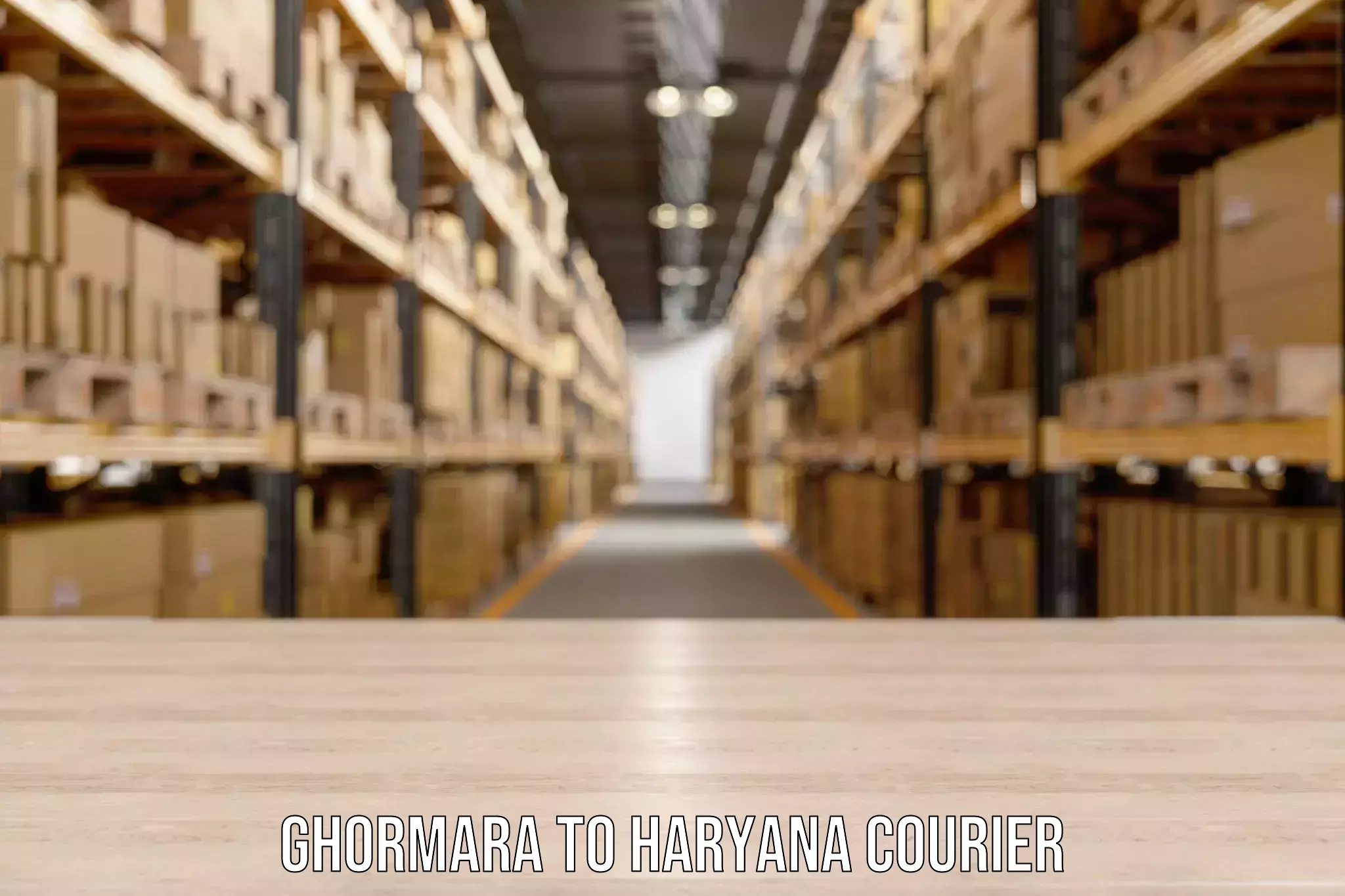 Trackable baggage shipping Ghormara to Haryana
