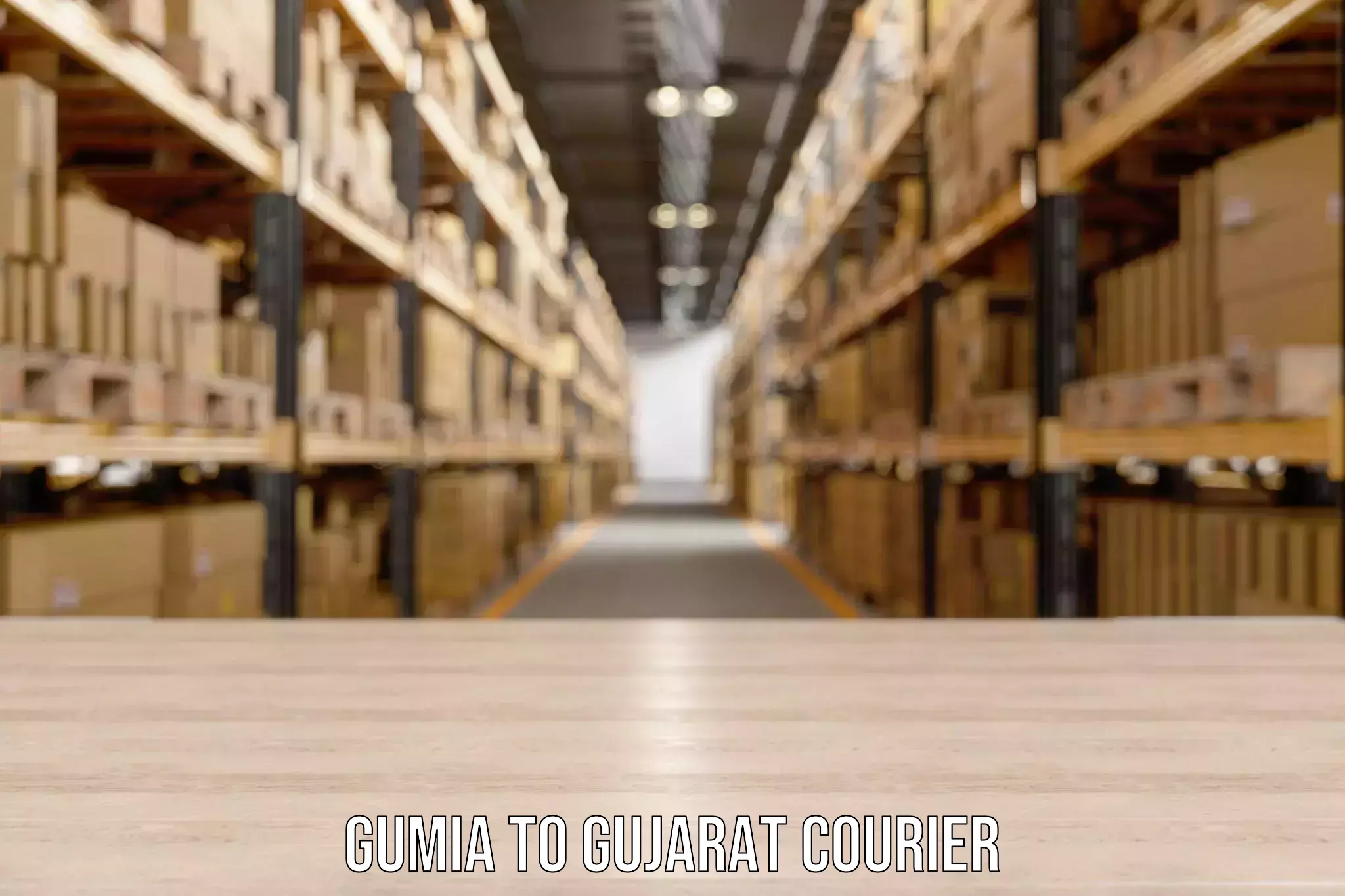 Emergency luggage shipping Gumia to Gujarat