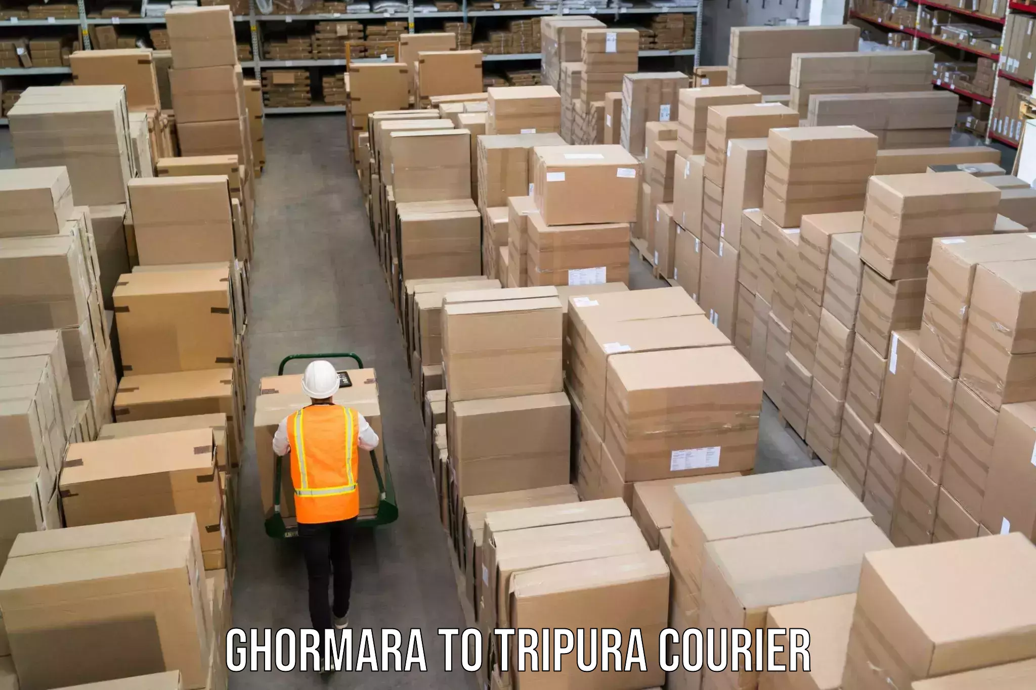 Luggage shipment strategy in Ghormara to Tripura