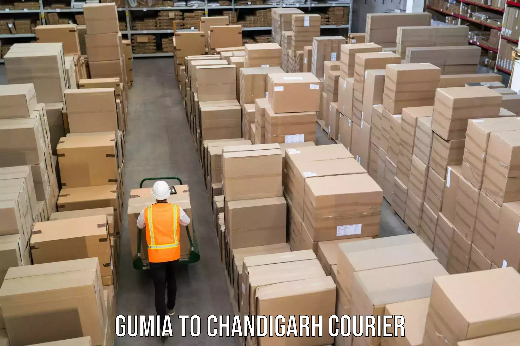 Luggage shipping efficiency Gumia to Chandigarh