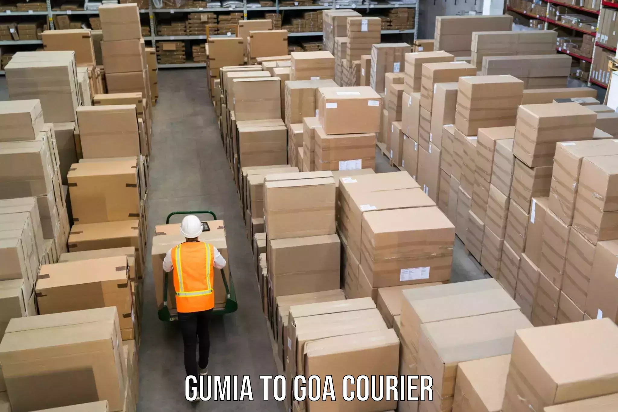 Luggage shipping rates Gumia to Goa