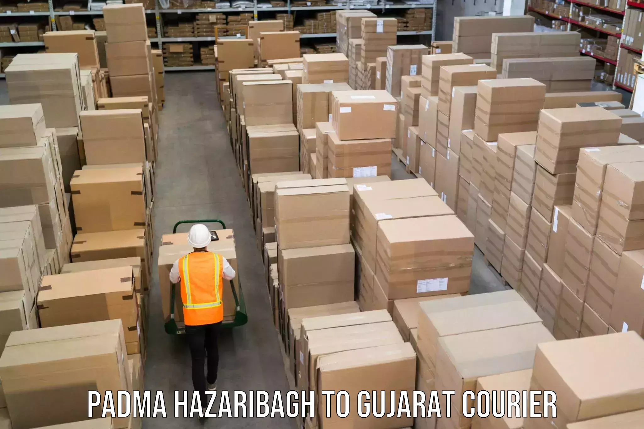 Luggage delivery rates Padma Hazaribagh to Gujarat