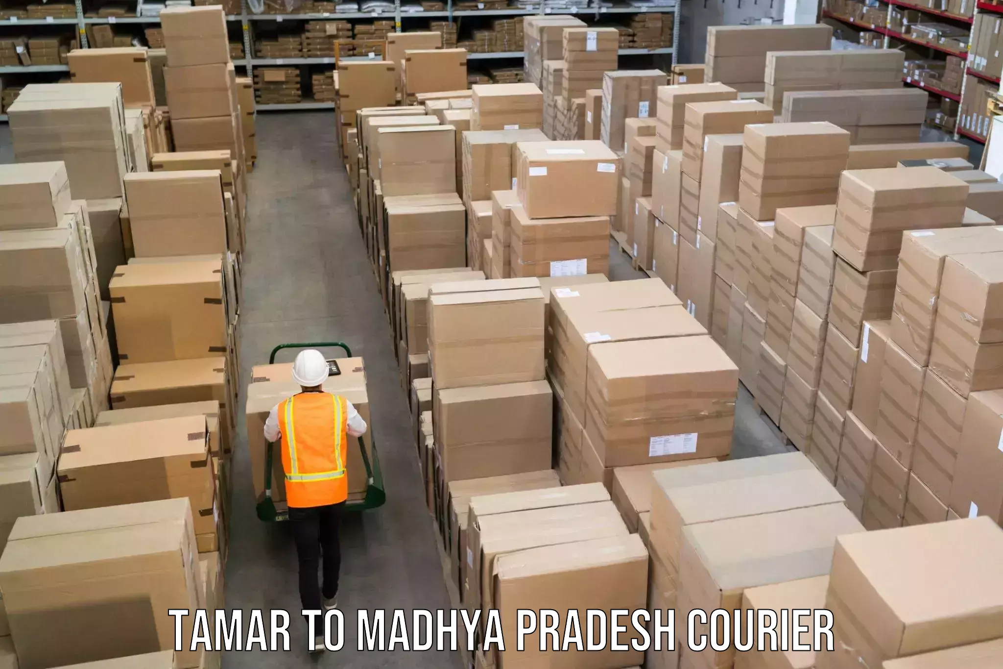 Luggage delivery providers in Tamar to Madhya Pradesh