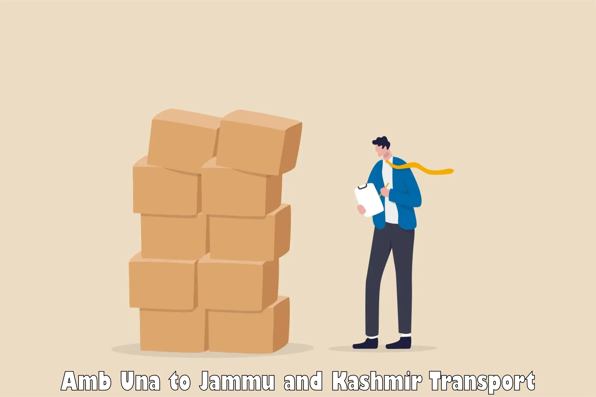 Door to door transport services in Amb Una to Anantnag