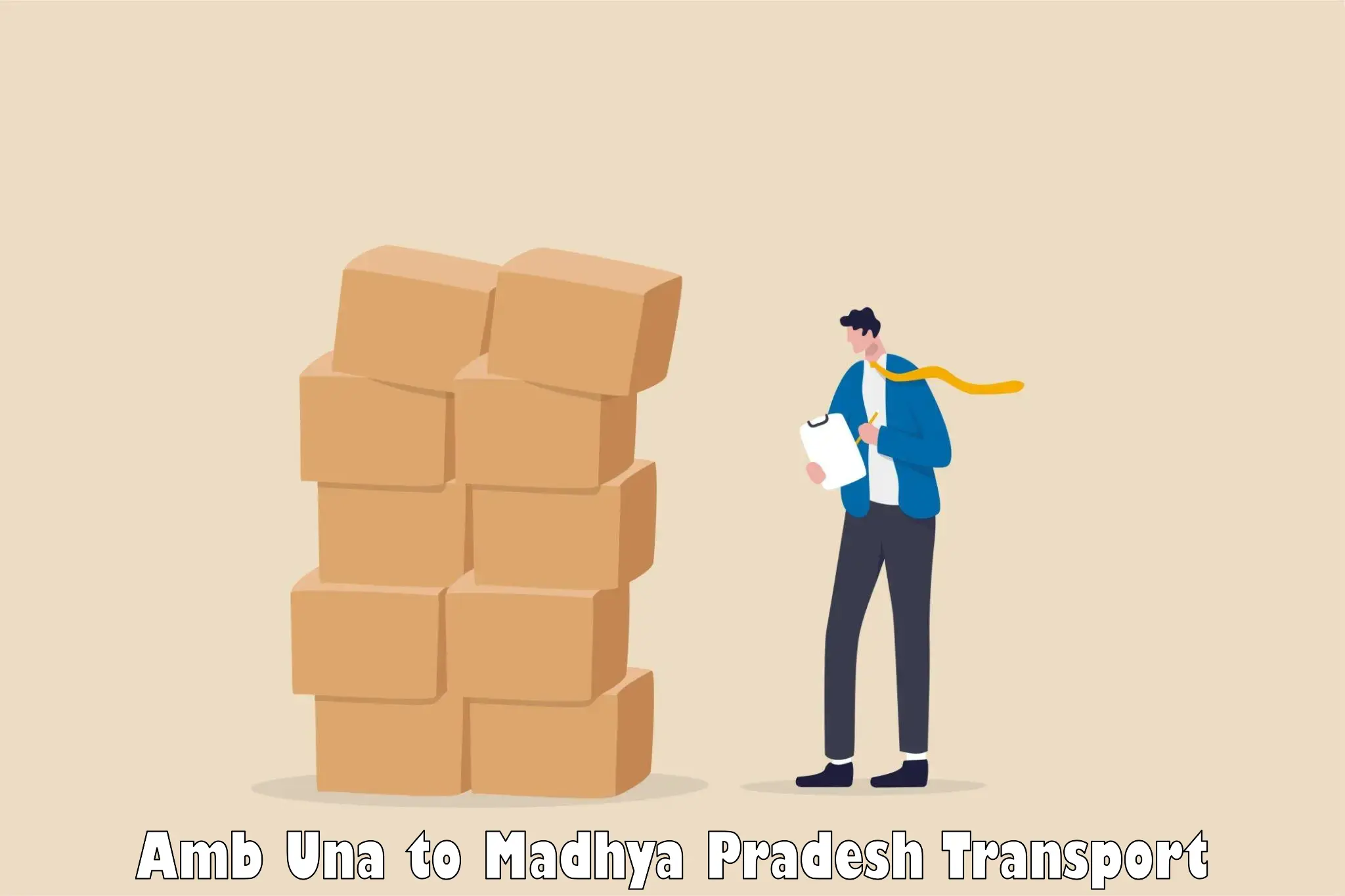 Domestic goods transportation services Amb Una to Shivpuri