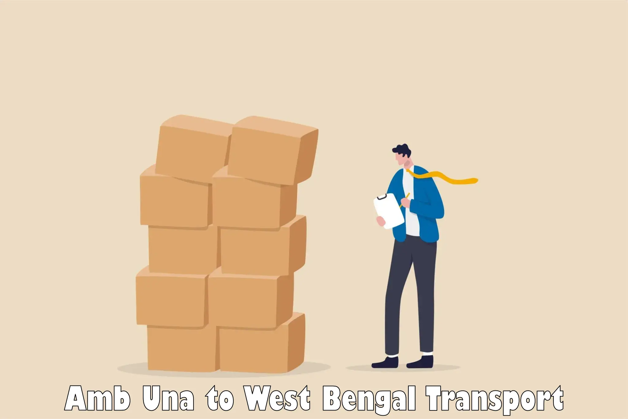 Package delivery services Amb Una to Dakshin Barasat