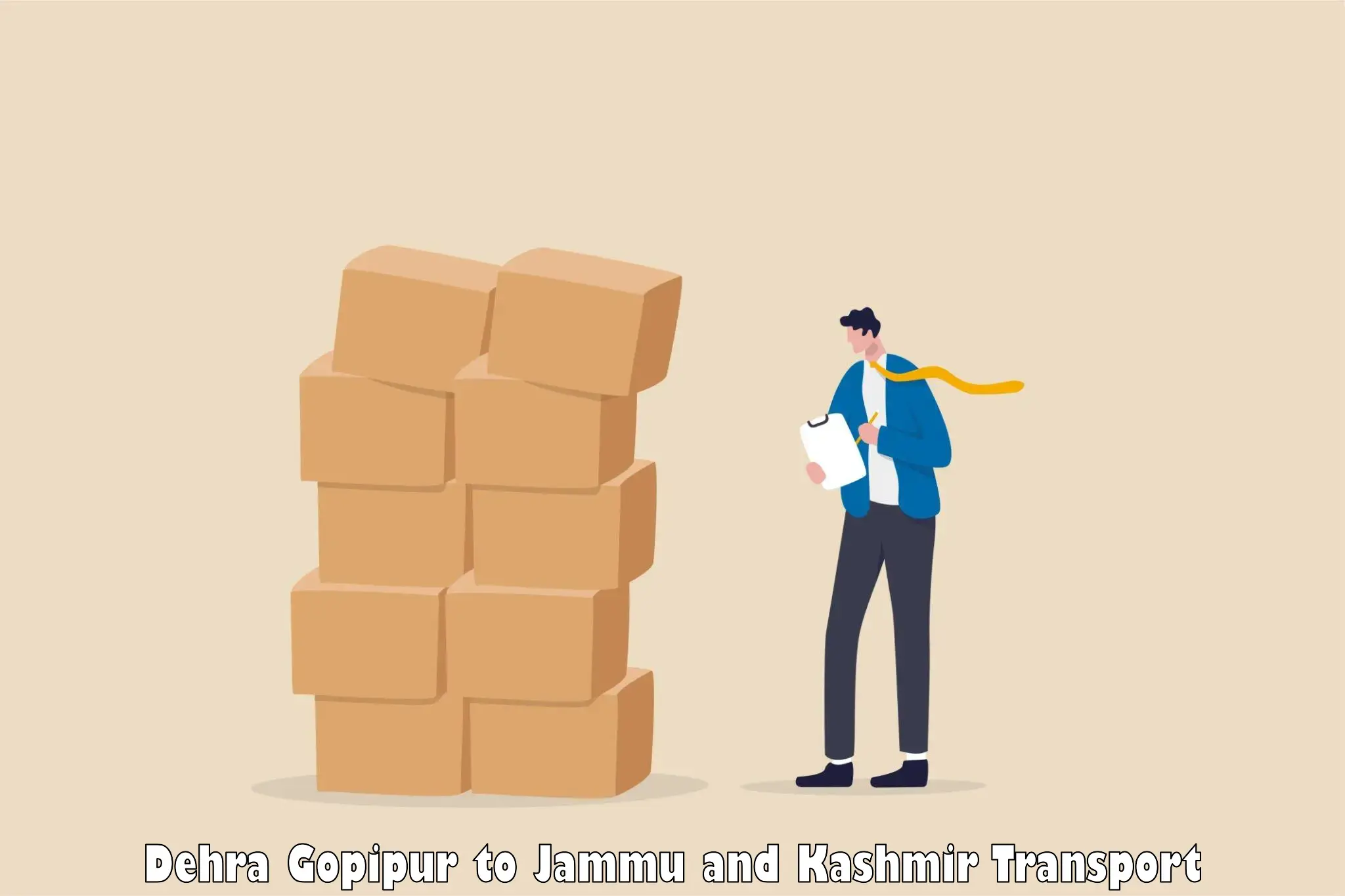 Vehicle courier services in Dehra Gopipur to Jammu and Kashmir