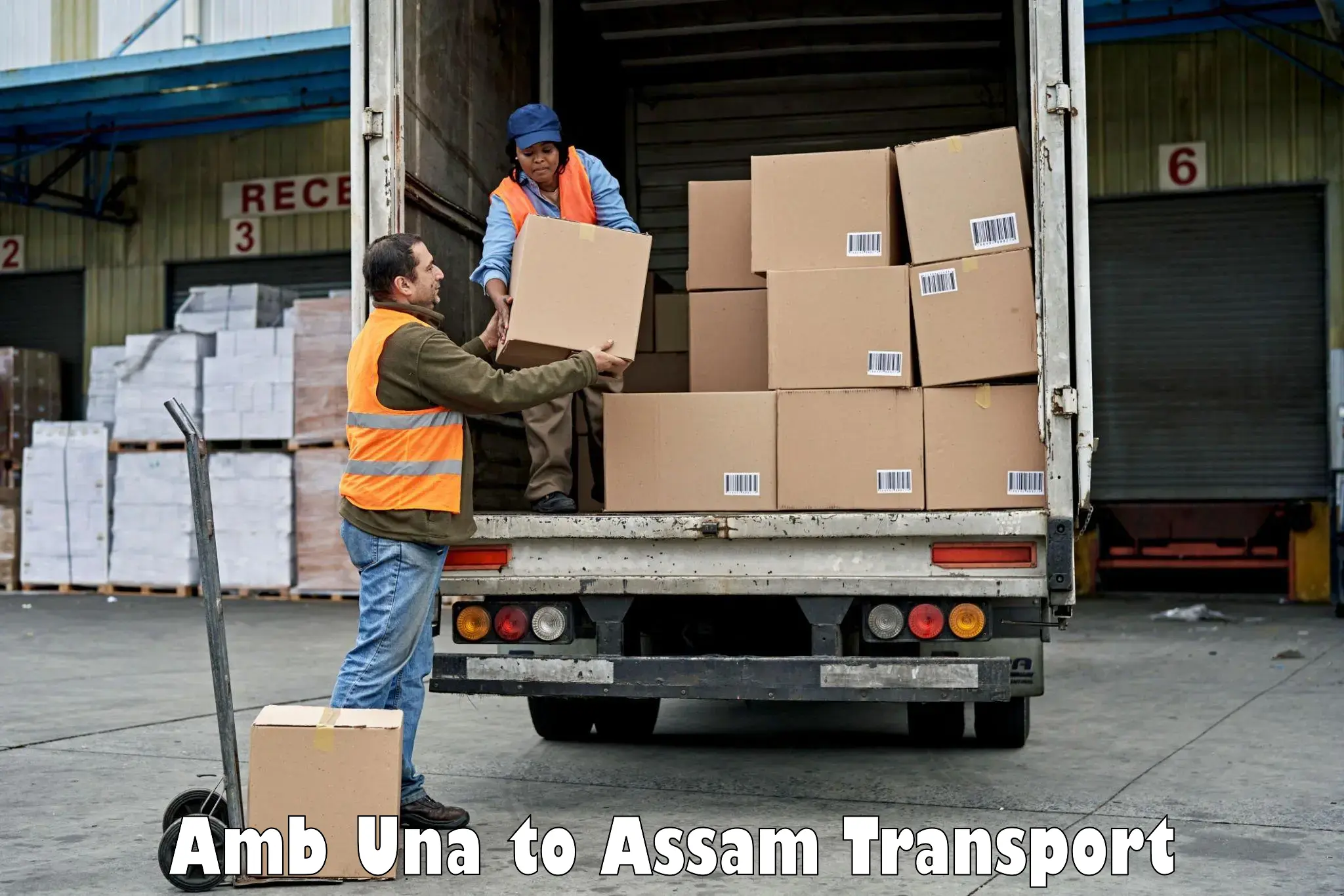 Furniture transport service in Amb Una to Sarthebari