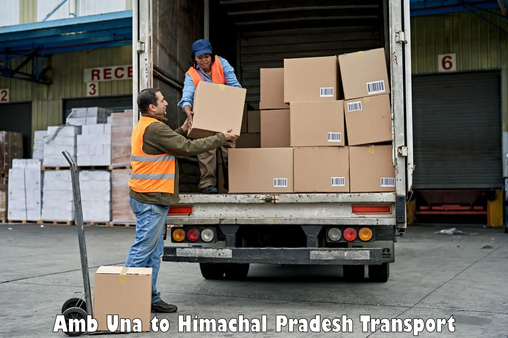 Cargo transport services Amb Una to Dharampur Kasauli