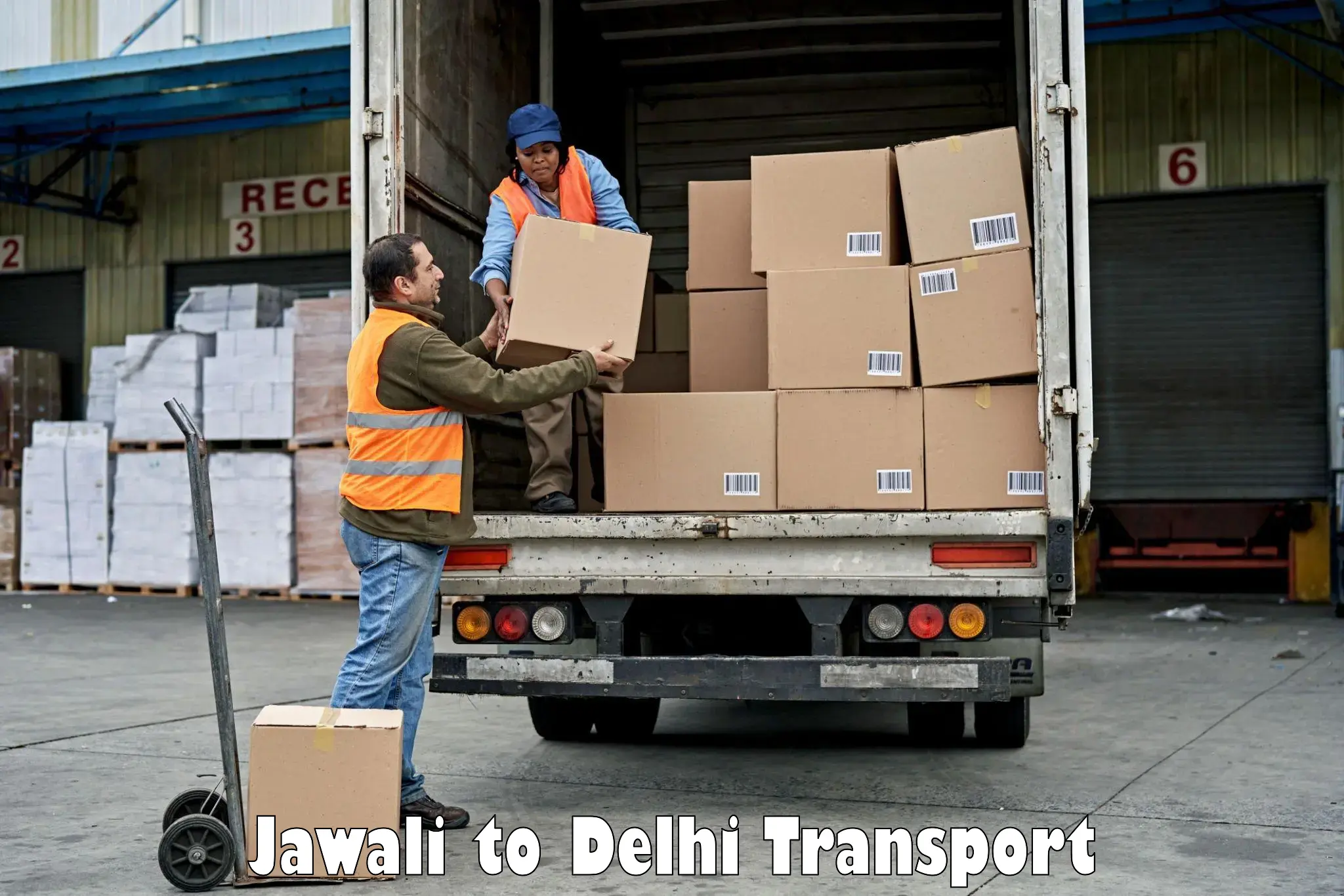 Online transport service Jawali to Delhi Technological University DTU