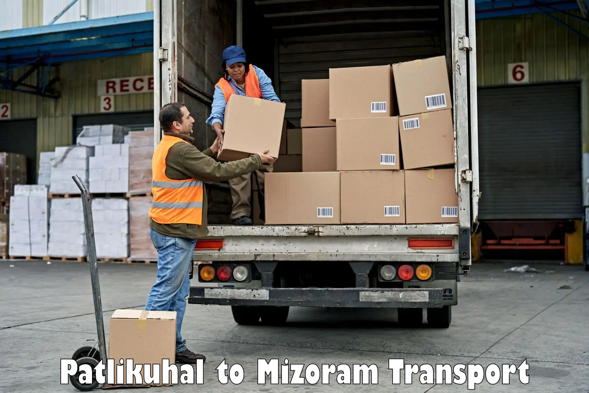 Container transport service Patlikuhal to Aizawl