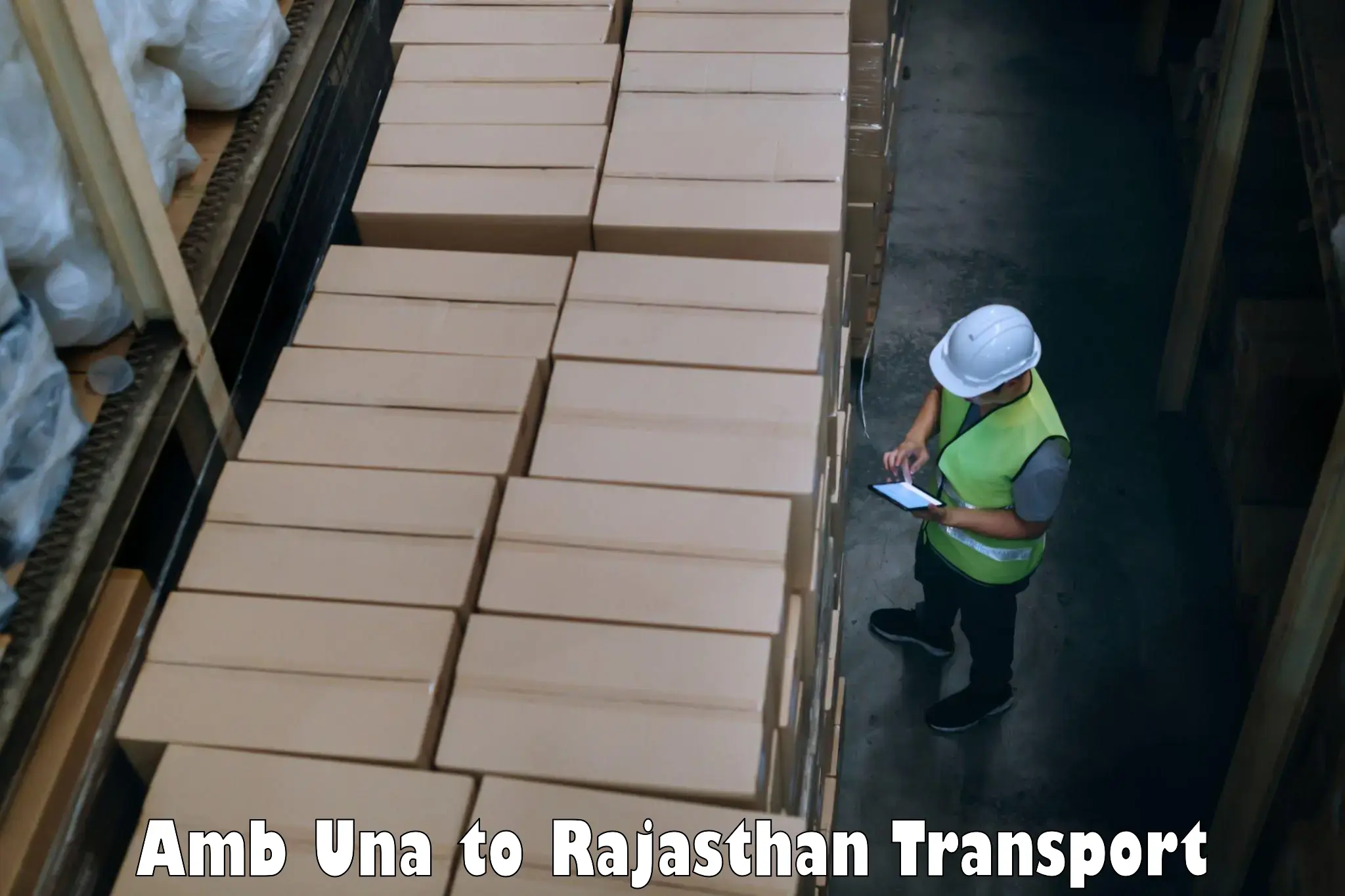 Domestic goods transportation services Amb Una to Tijara