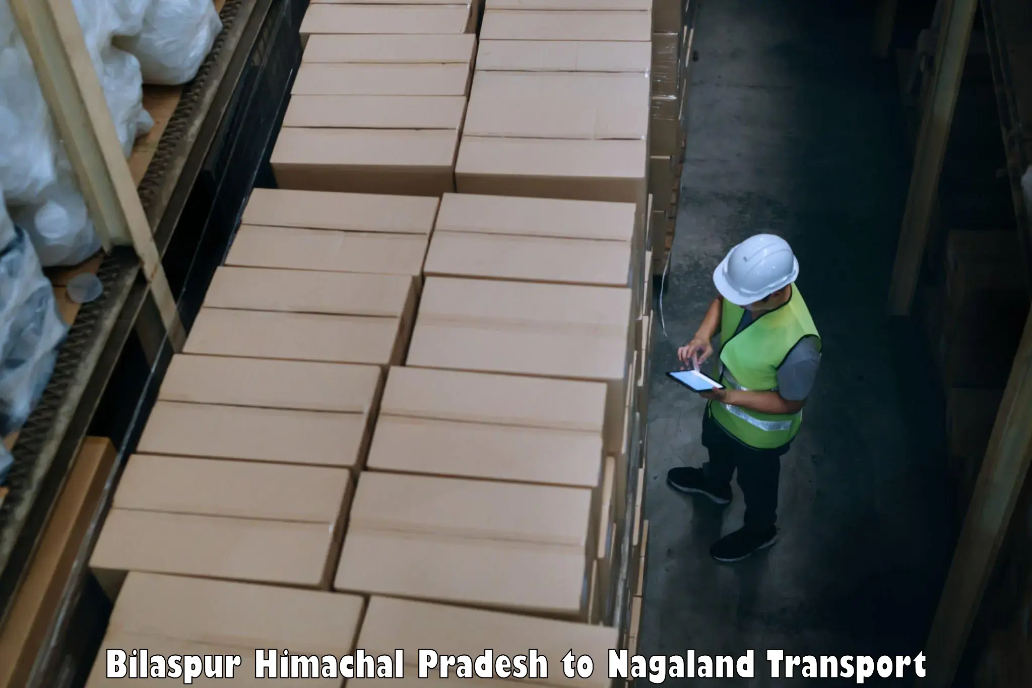 Land transport services Bilaspur Himachal Pradesh to Kiphire