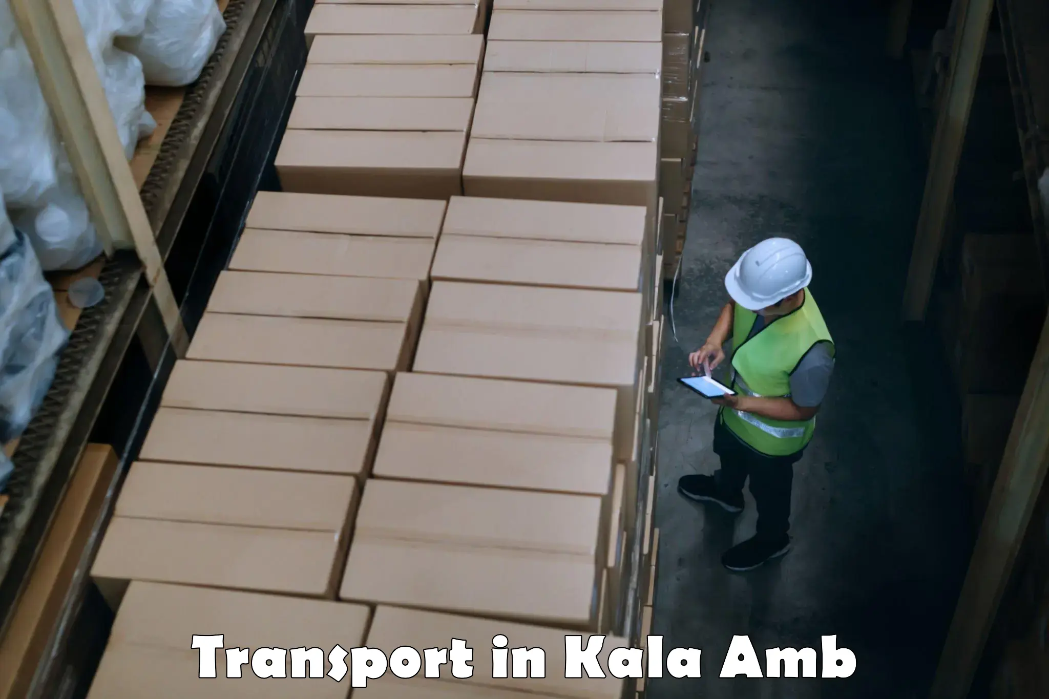 Cargo transport services in Kala Amb