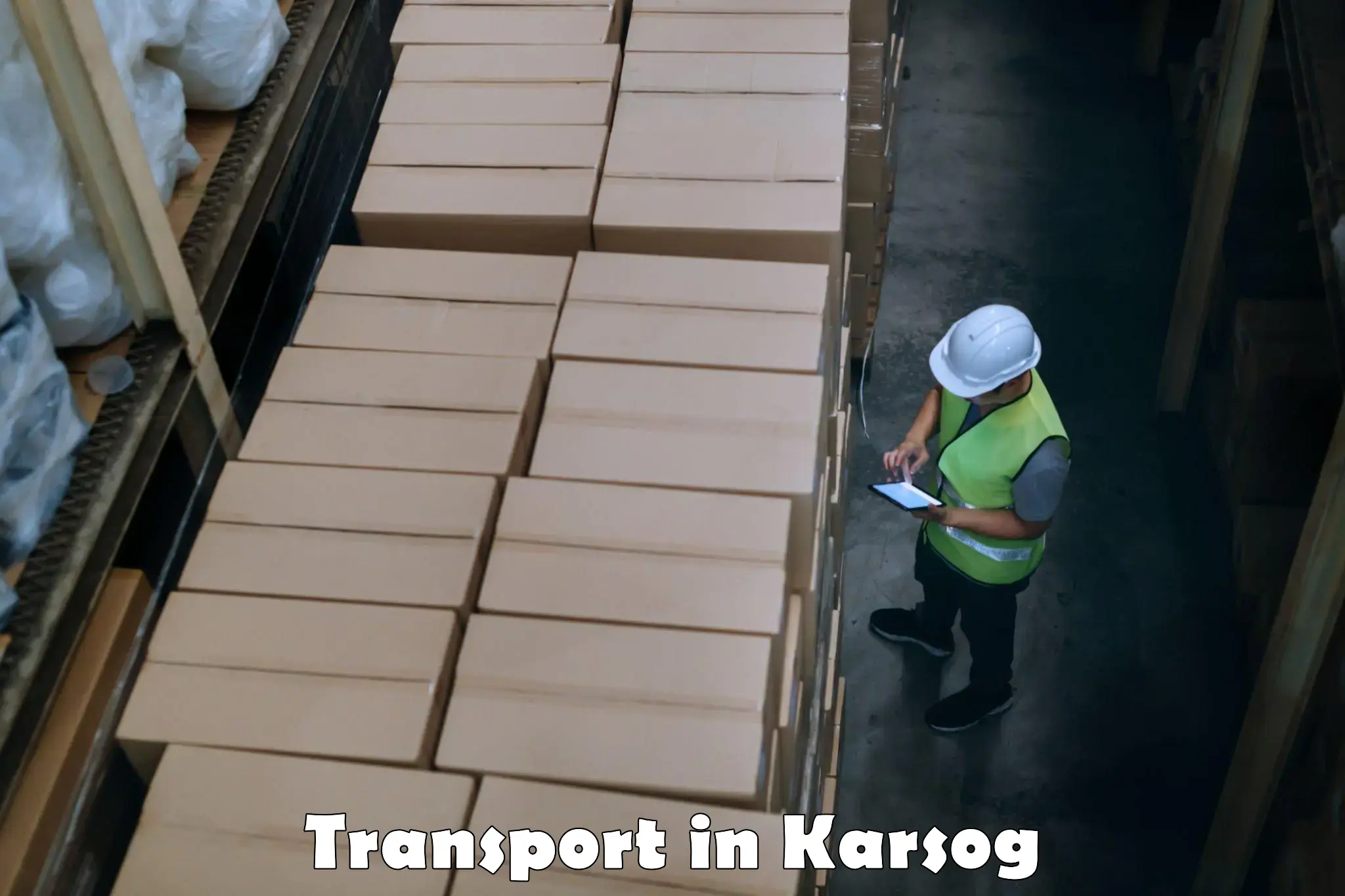 Cargo transport services in Karsog